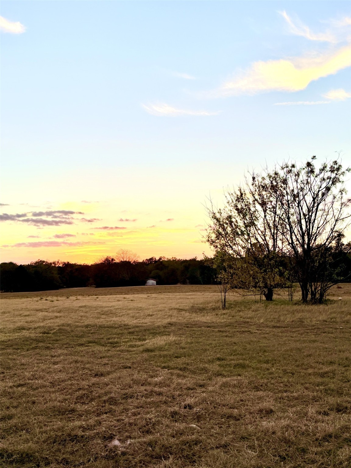 Lot #1 Tbd State Highway 19 & Rs Cr 1150 Emory TX 75440