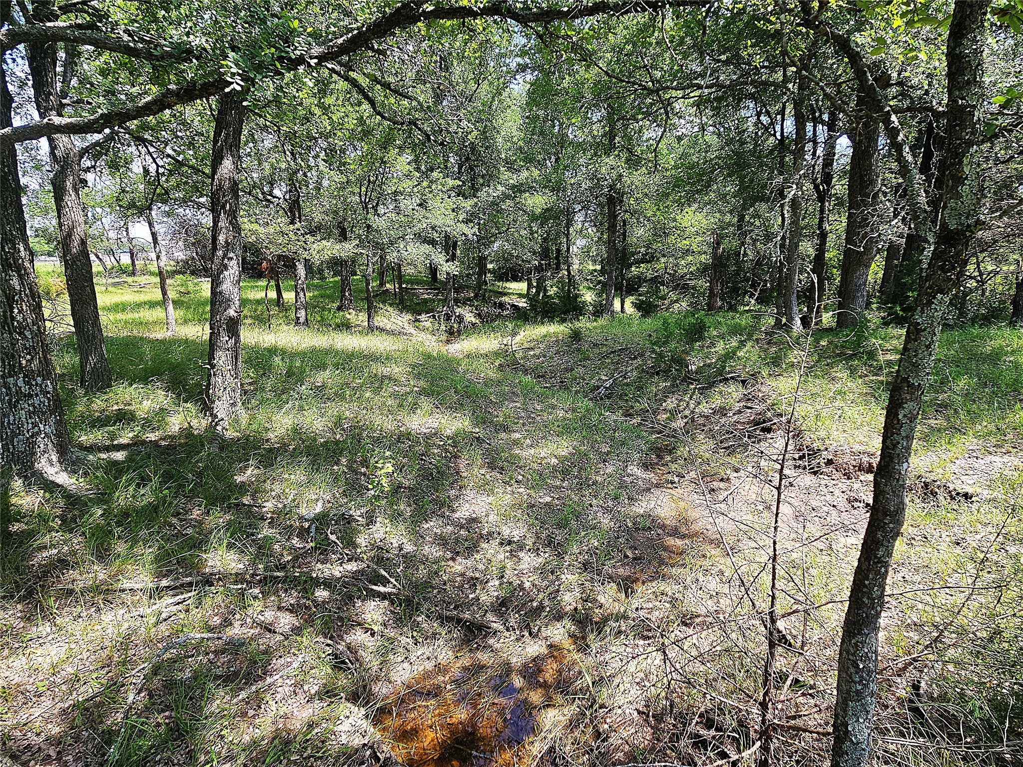 13 Acres Fm 39 S Groesbeck TX 76642