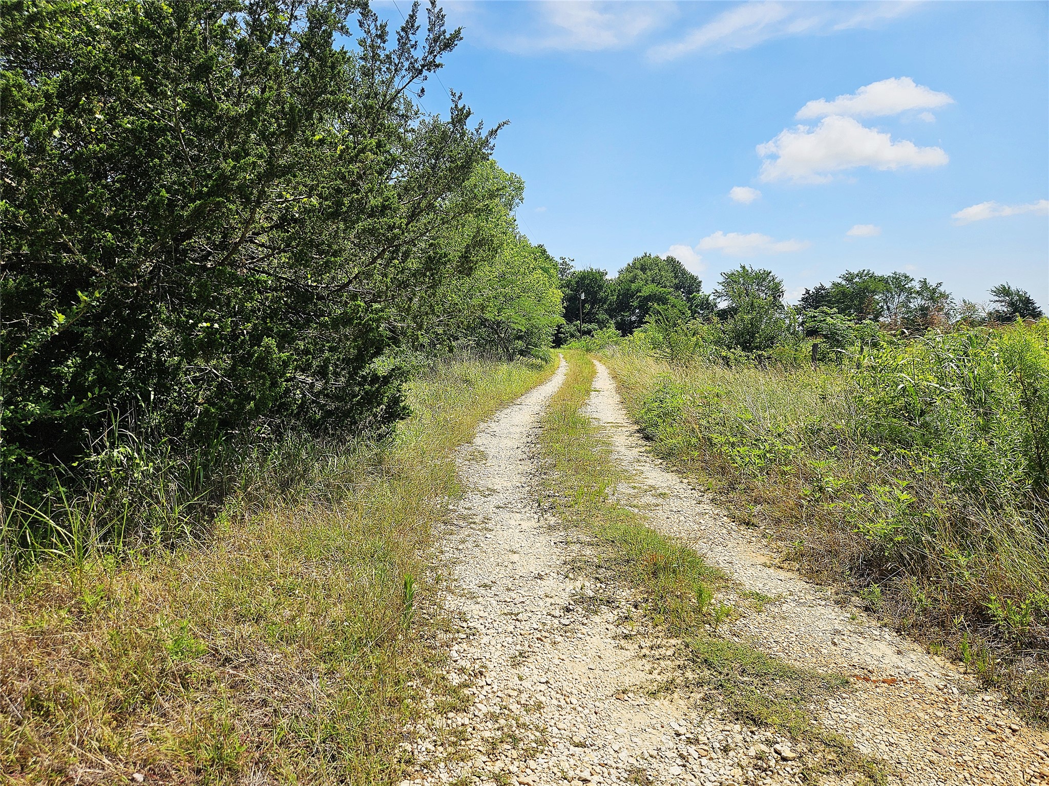 13 Acres Fm 39 S Groesbeck TX 76642