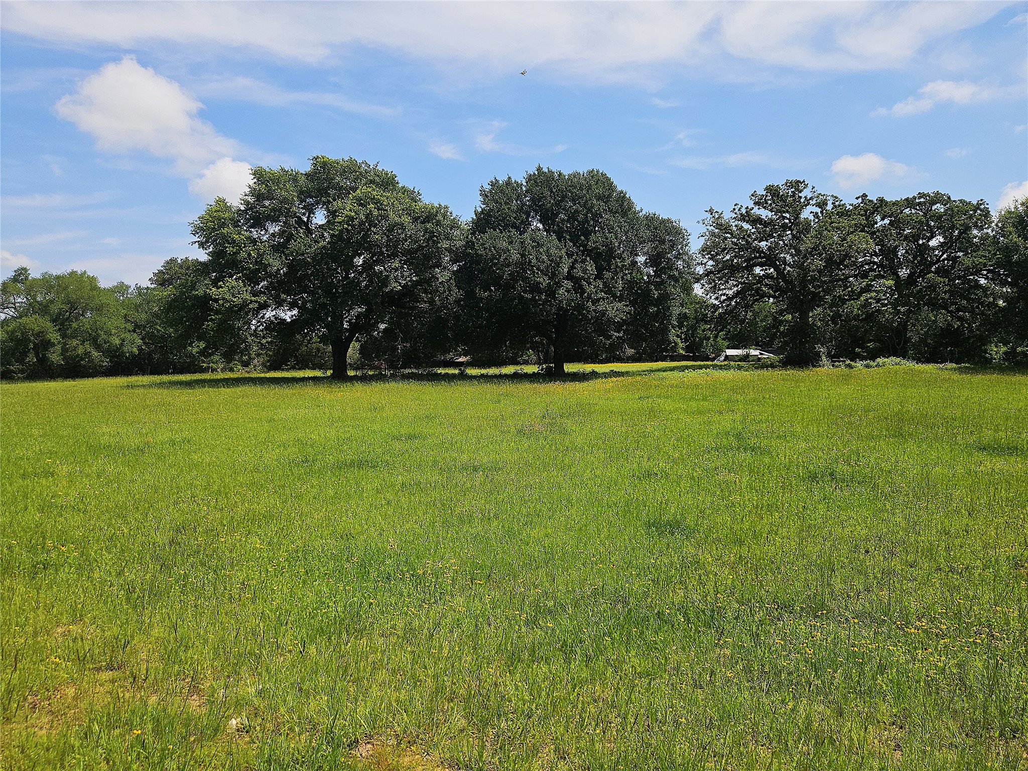 13 Acres Fm 39 S Groesbeck TX 76642