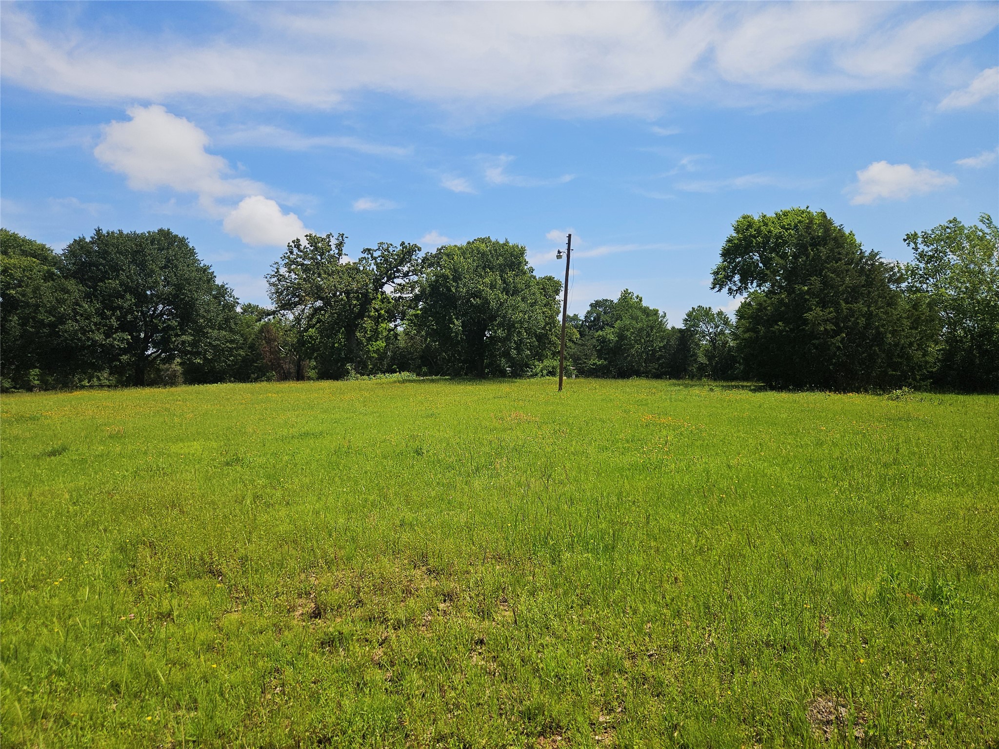 13 Acres Fm 39 S Groesbeck TX 76642