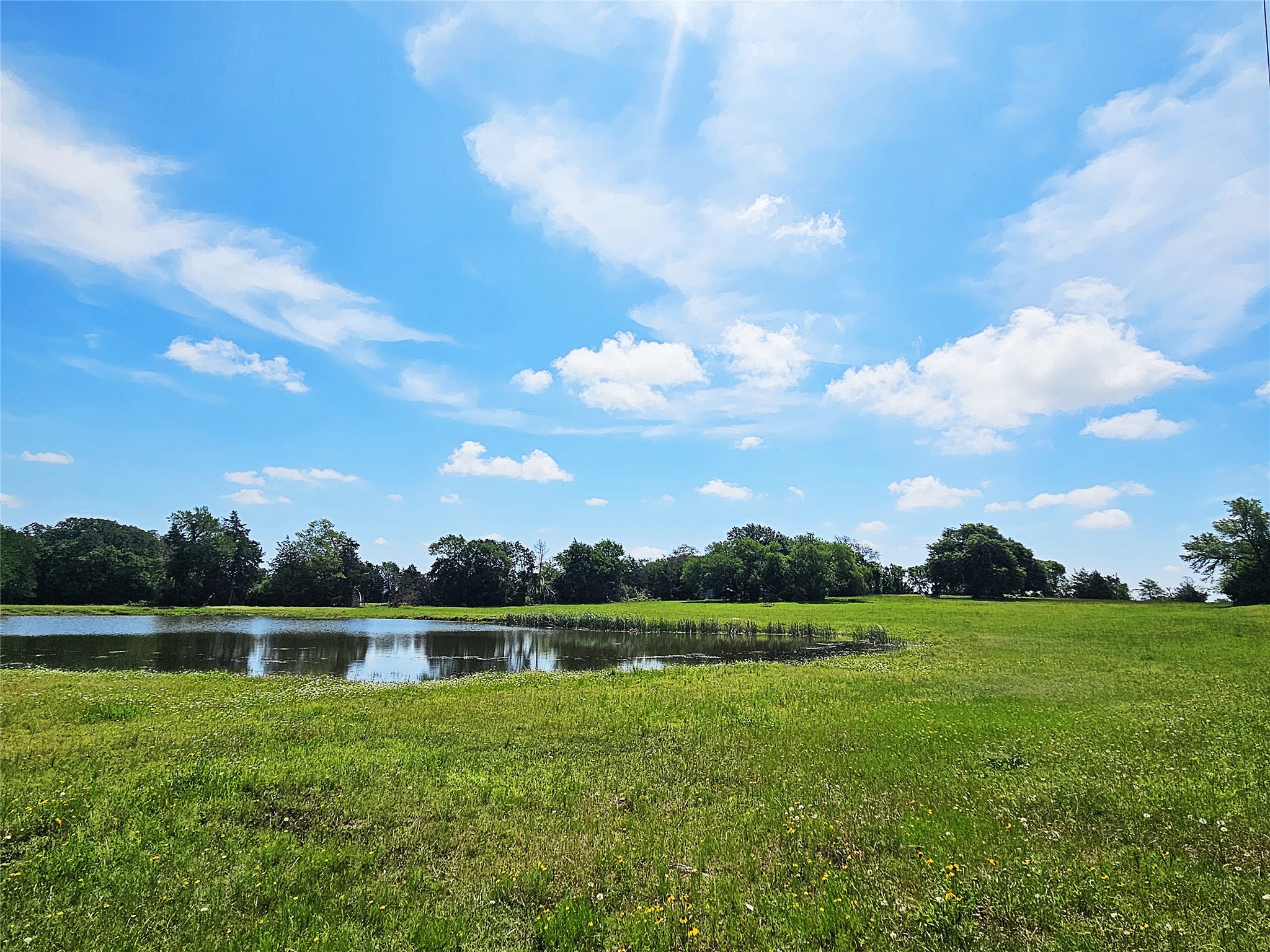 13 Acres Fm 39 S Groesbeck TX 76642