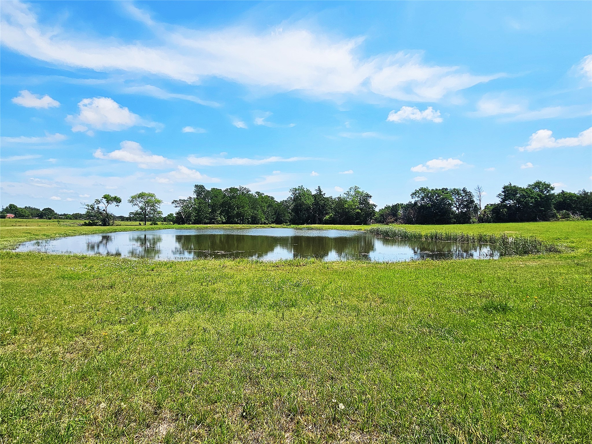 13 Acres Fm 39 S Groesbeck TX 76642