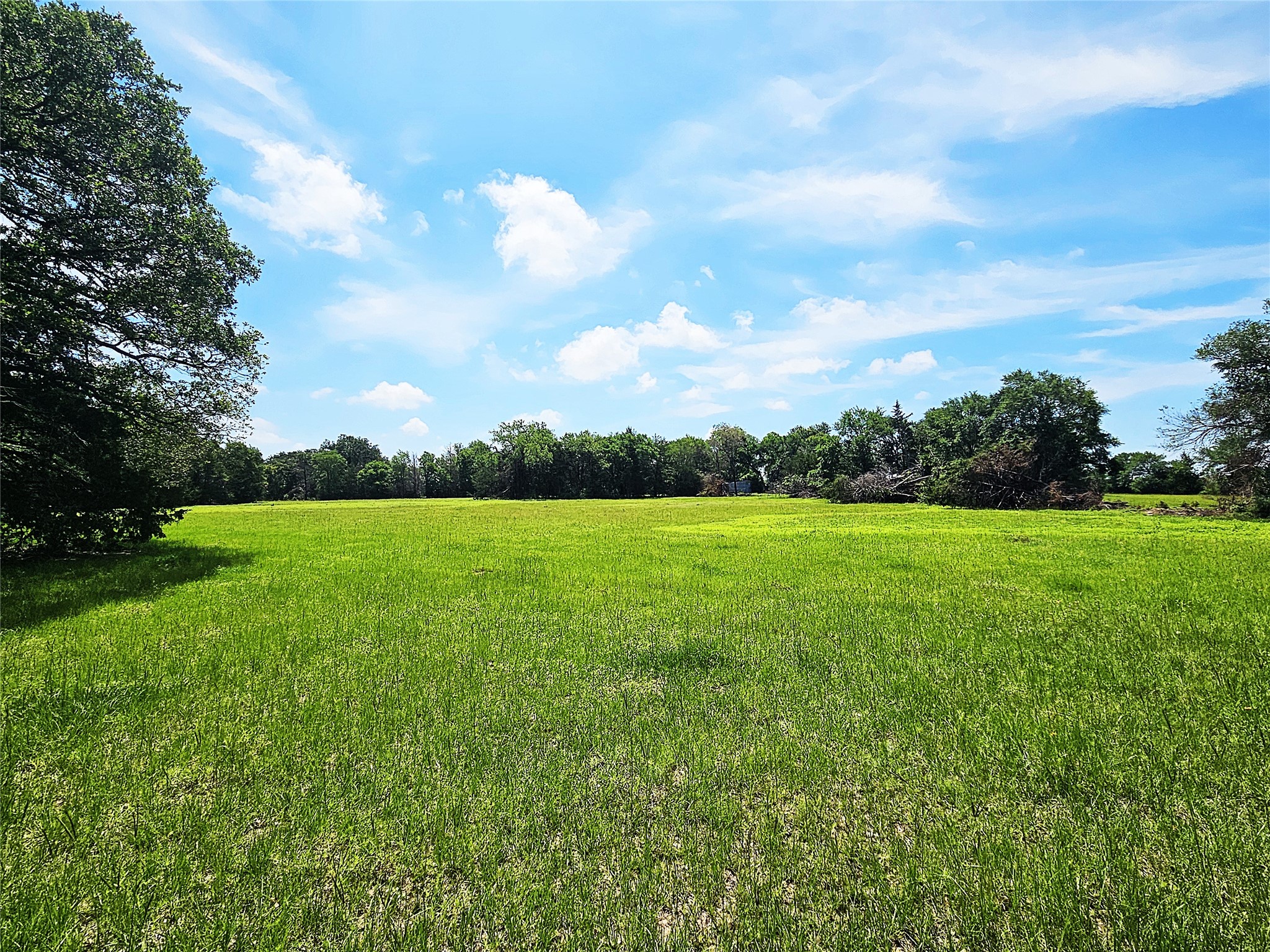 13 Acres Fm 39 S Groesbeck TX 76642