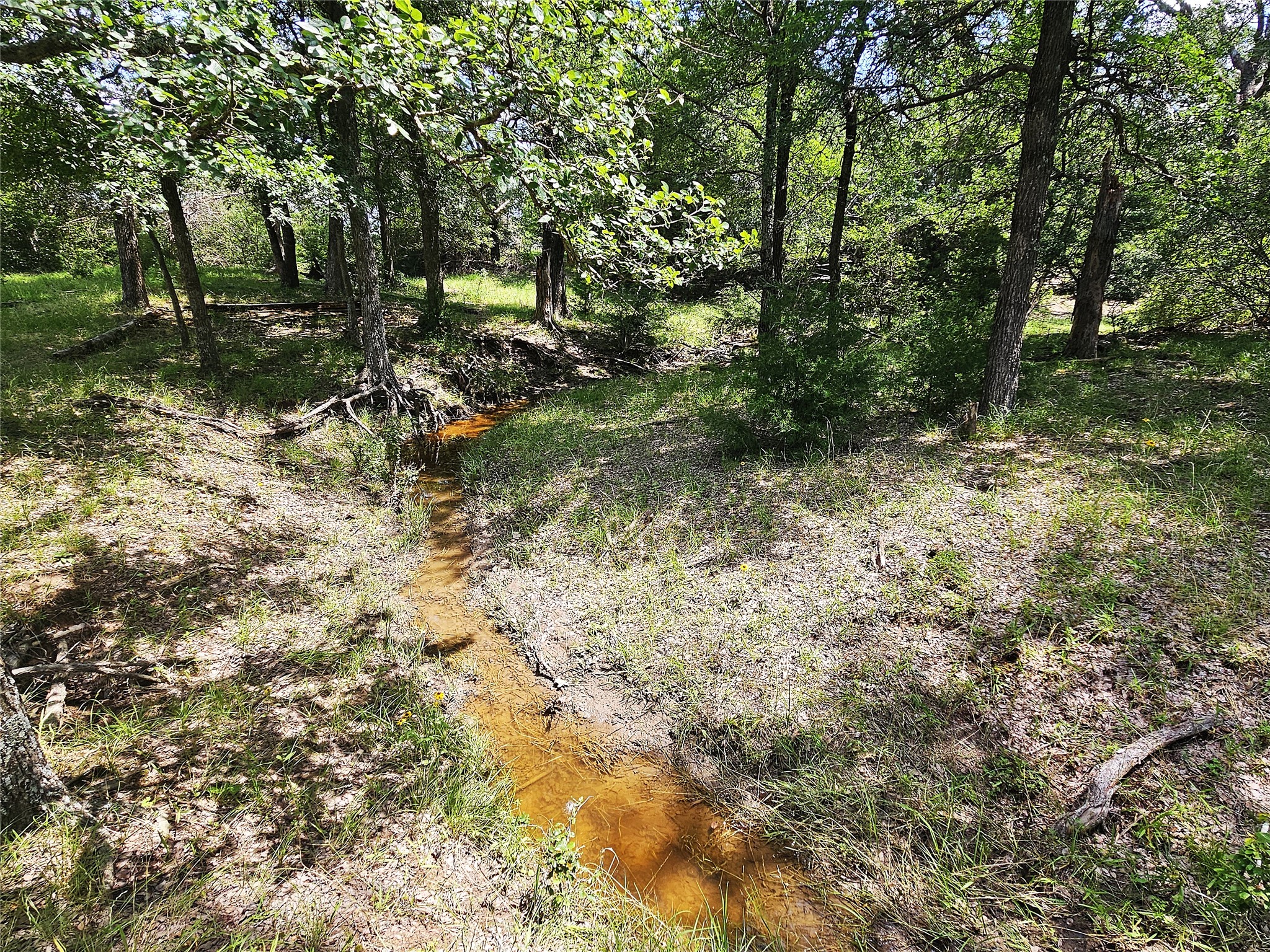 13 Acres Fm 39 S Groesbeck TX 76642