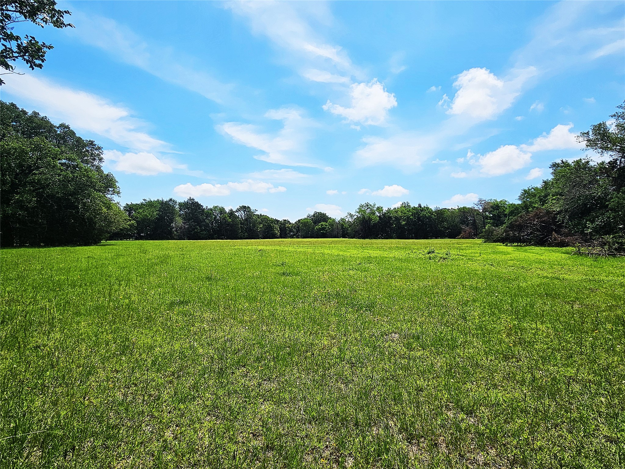 13 Acres Fm 39 S Groesbeck TX 76642