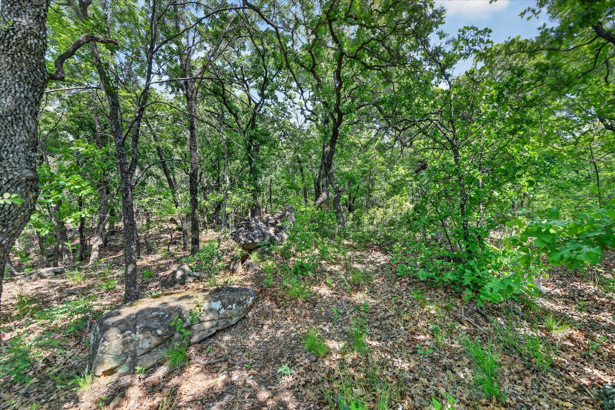 106 Ash Court Runaway Bay TX 76426