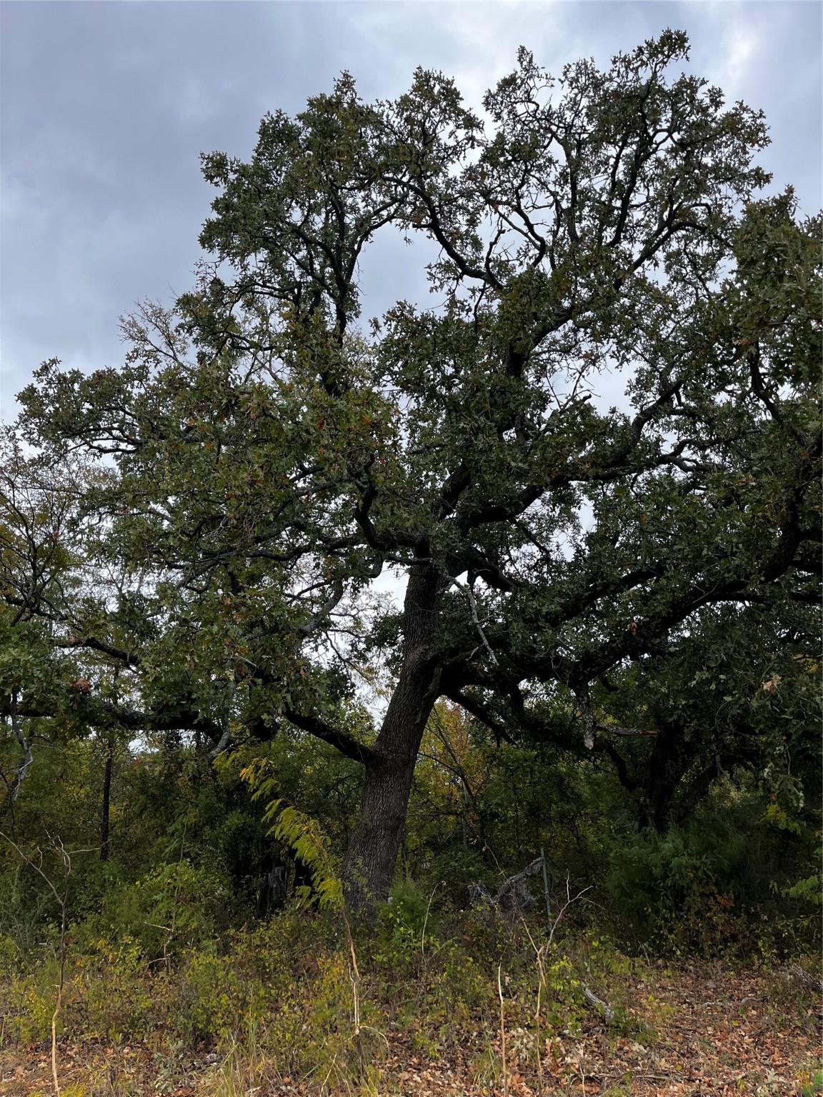 Tbd 2 Flat Rock Road Azle TX 76020