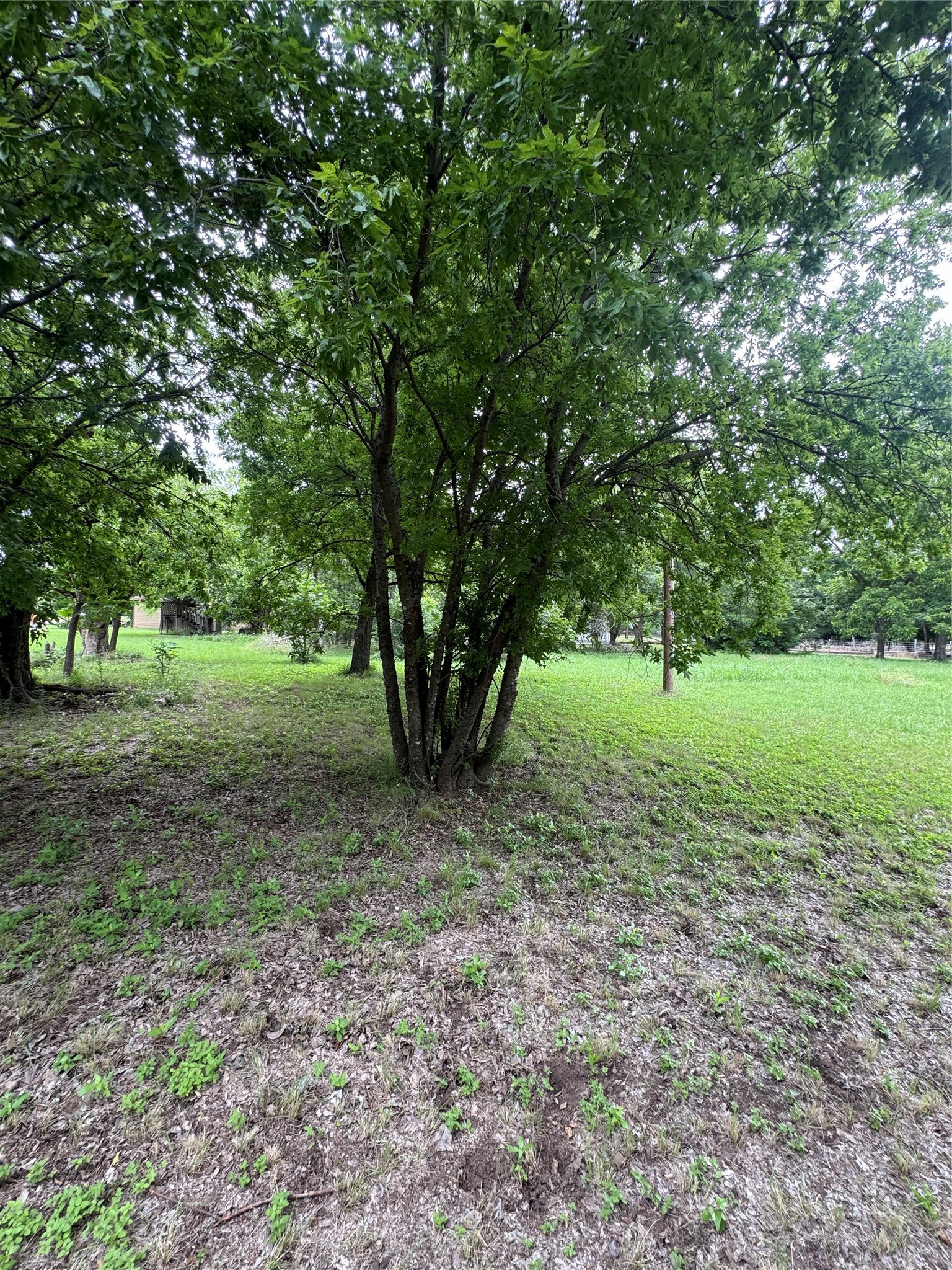 1102 Brewster Street Brownwood TX 76801