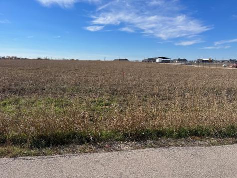 244 Chambers Creek Trail Alvarado TX 76009