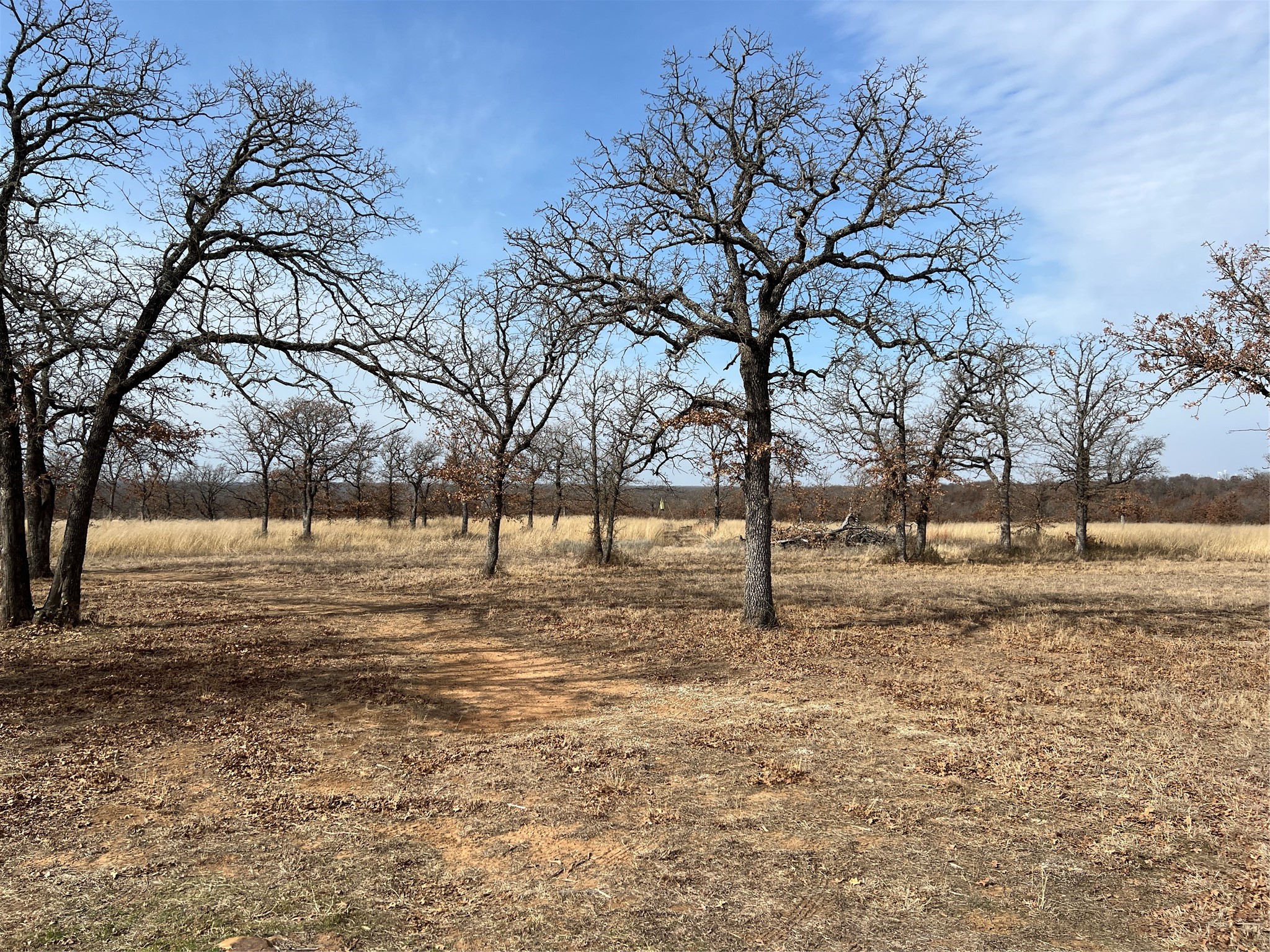 1921 Salt Creek Road Jacksboro TX 76458