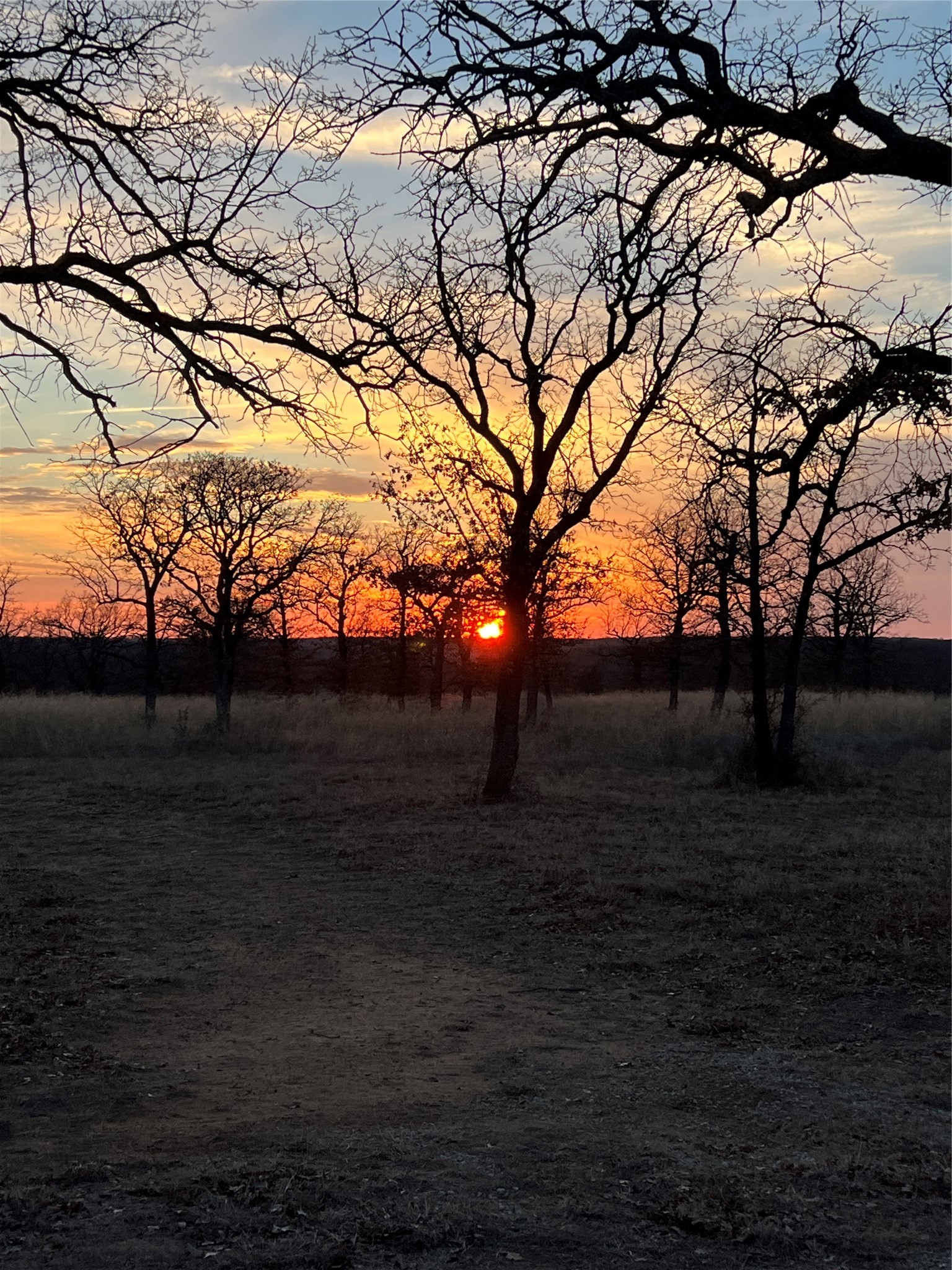 1921 Salt Creek Road Jacksboro TX 76458