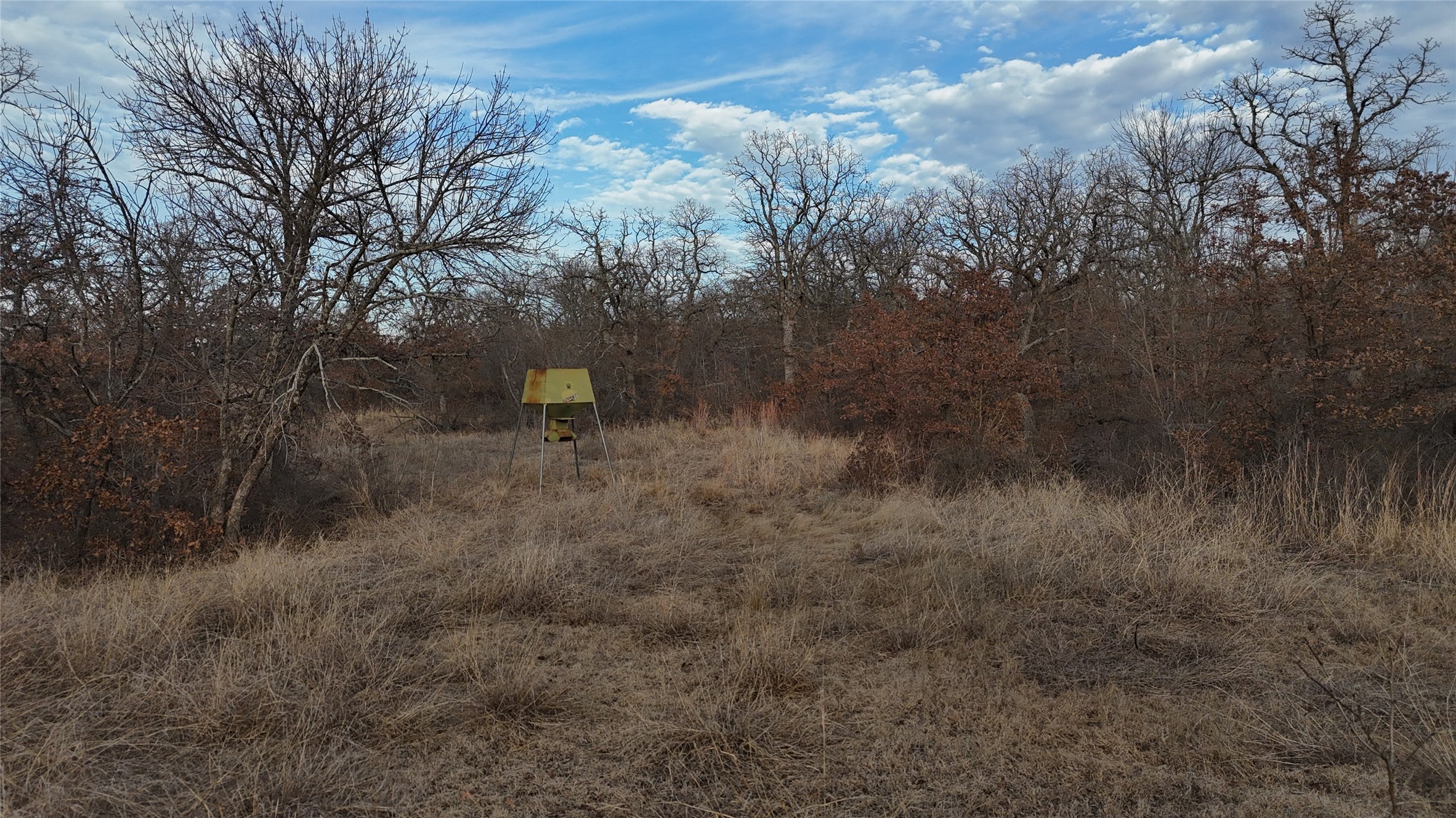 1921 Salt Creek Road Jacksboro TX 76458