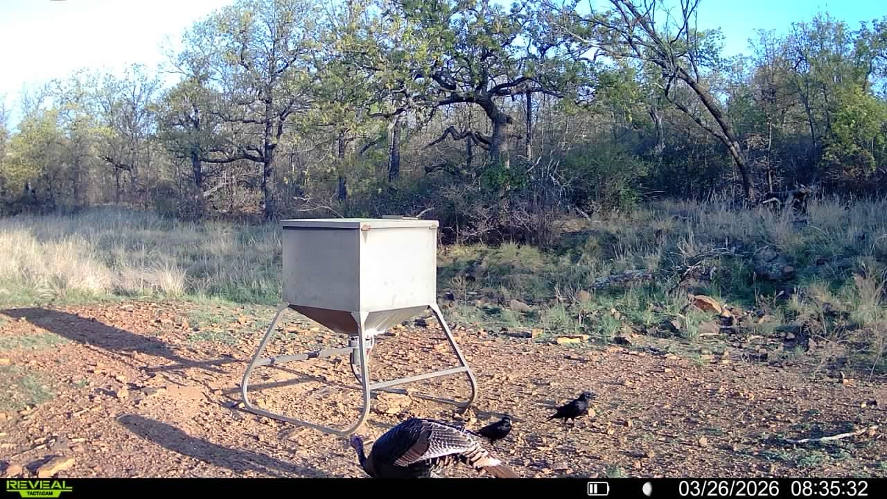 1921 Salt Creek Road Jacksboro TX 76458