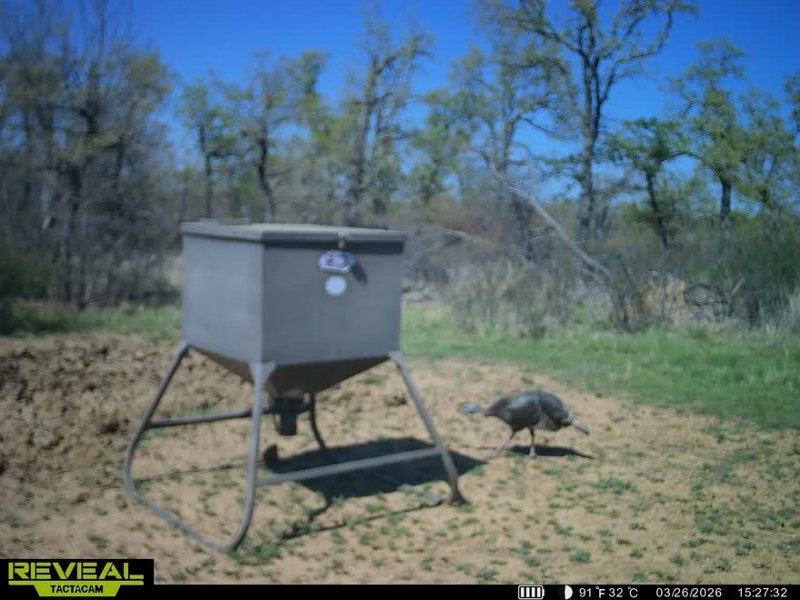 1921 Salt Creek Road Jacksboro TX 76458