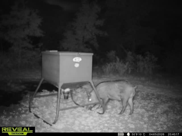 1921 Salt Creek Road Jacksboro TX 76458
