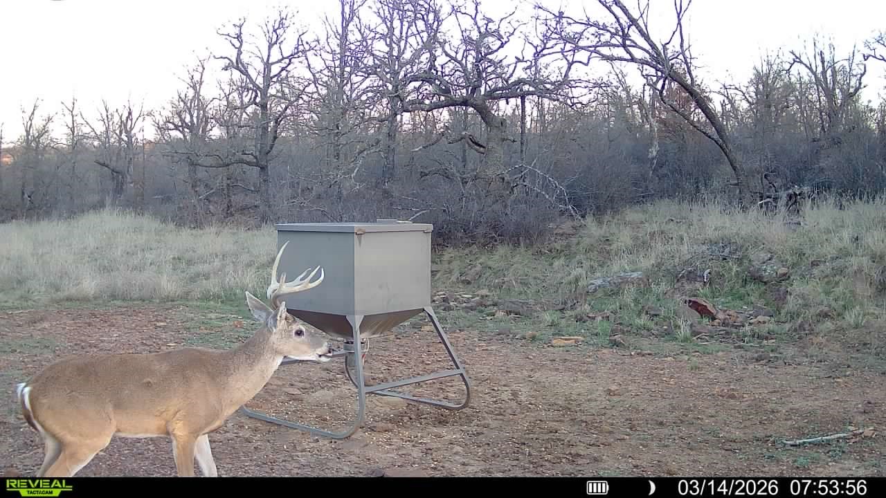 1921 Salt Creek Road Jacksboro TX 76458