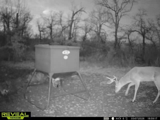 1921 Salt Creek Road Jacksboro TX 76458