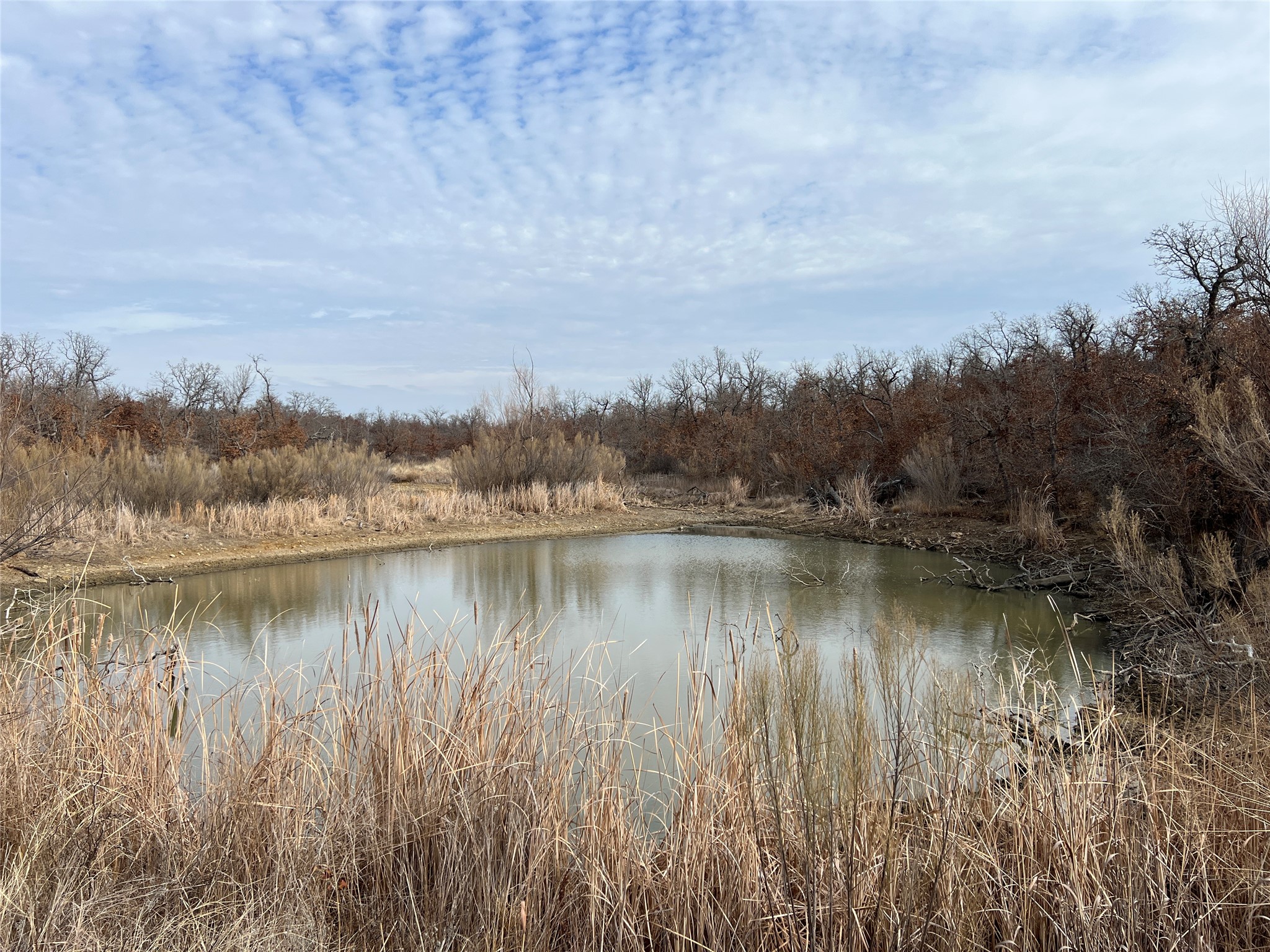 1921 Salt Creek Road Jacksboro TX 76458