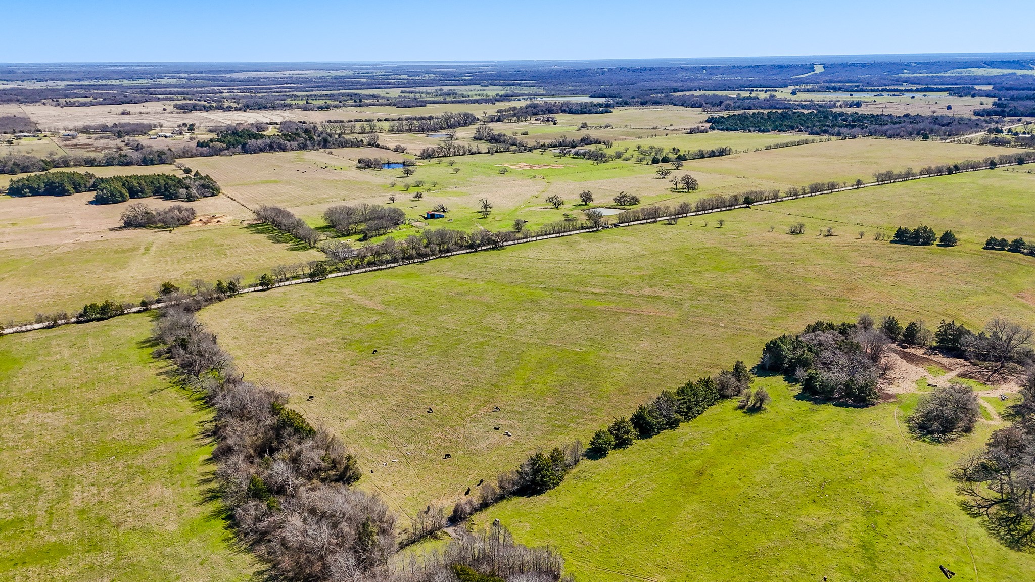 Tract 5 SW Cr 2040 Purdon TX 76679