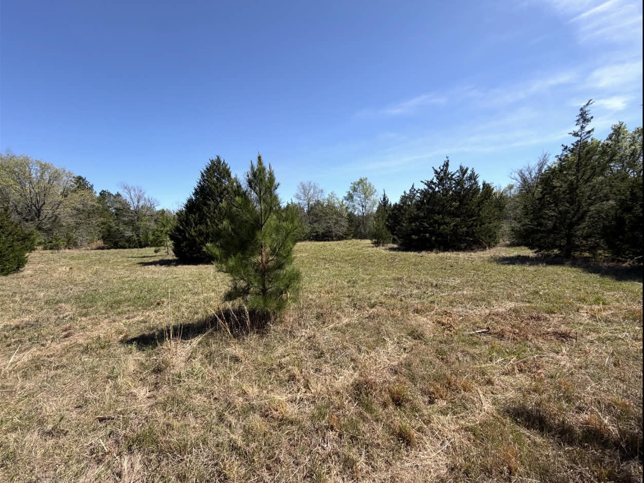 Tbd Fm 542 Oakwood TX 75855