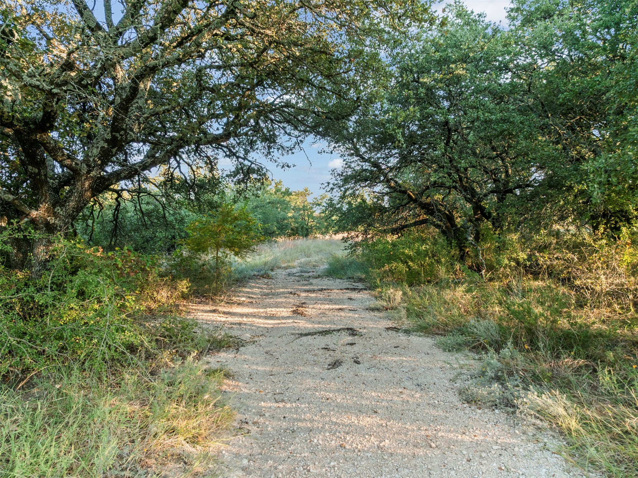 1456 Hidden Oaks Trail Glen Rose TX 76690