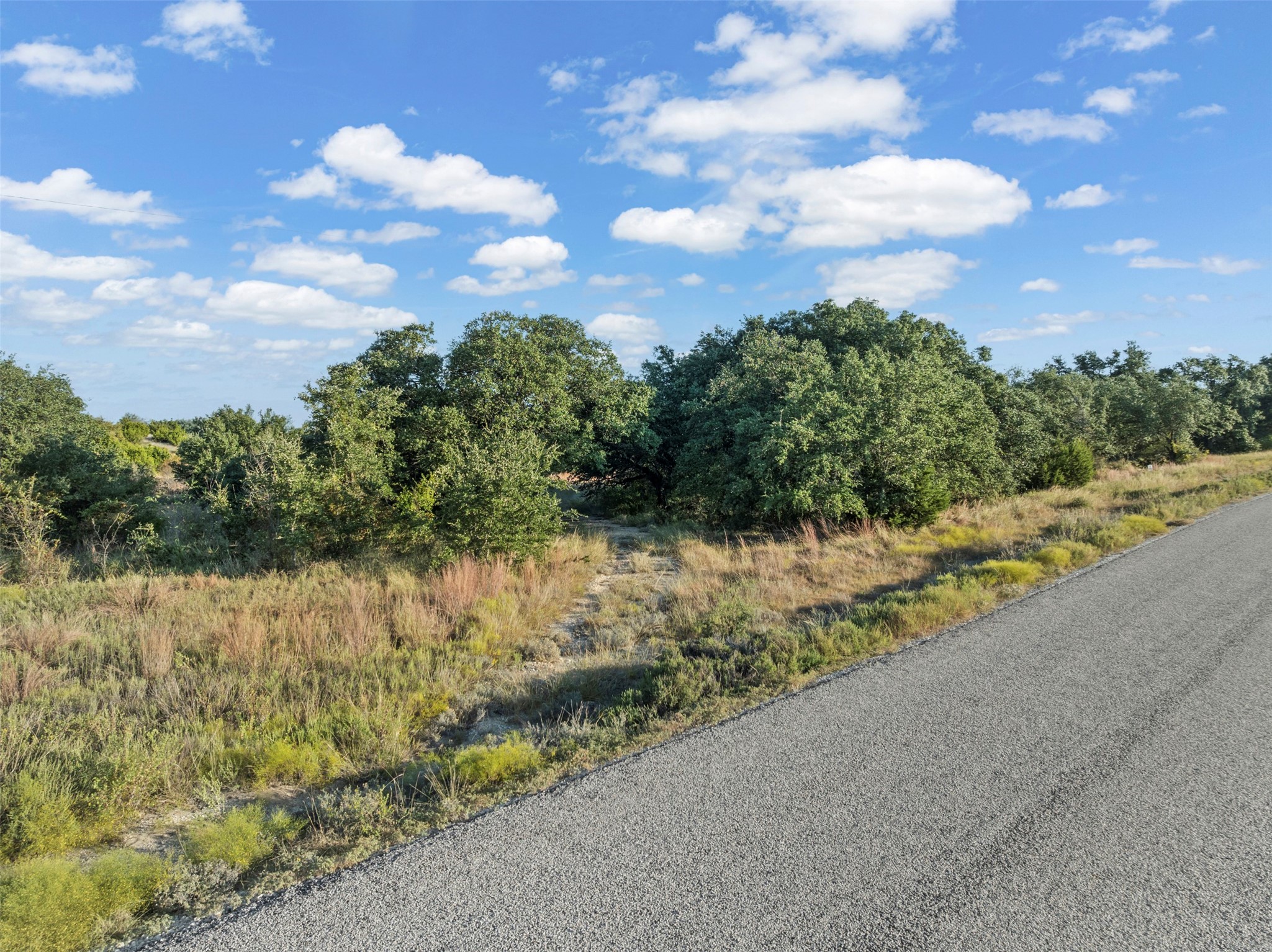 1456 Hidden Oaks Trail Glen Rose TX 76690