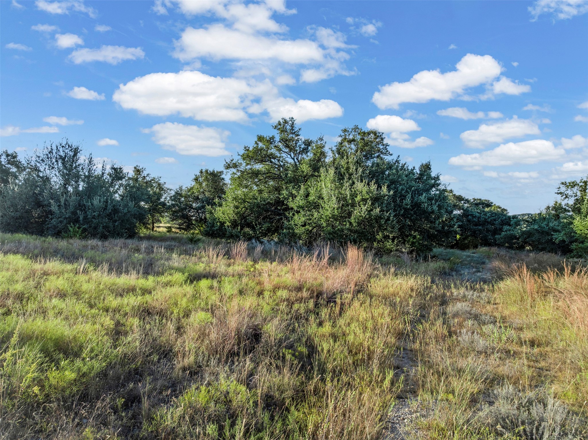 1456 Hidden Oaks Trail Glen Rose TX 76690