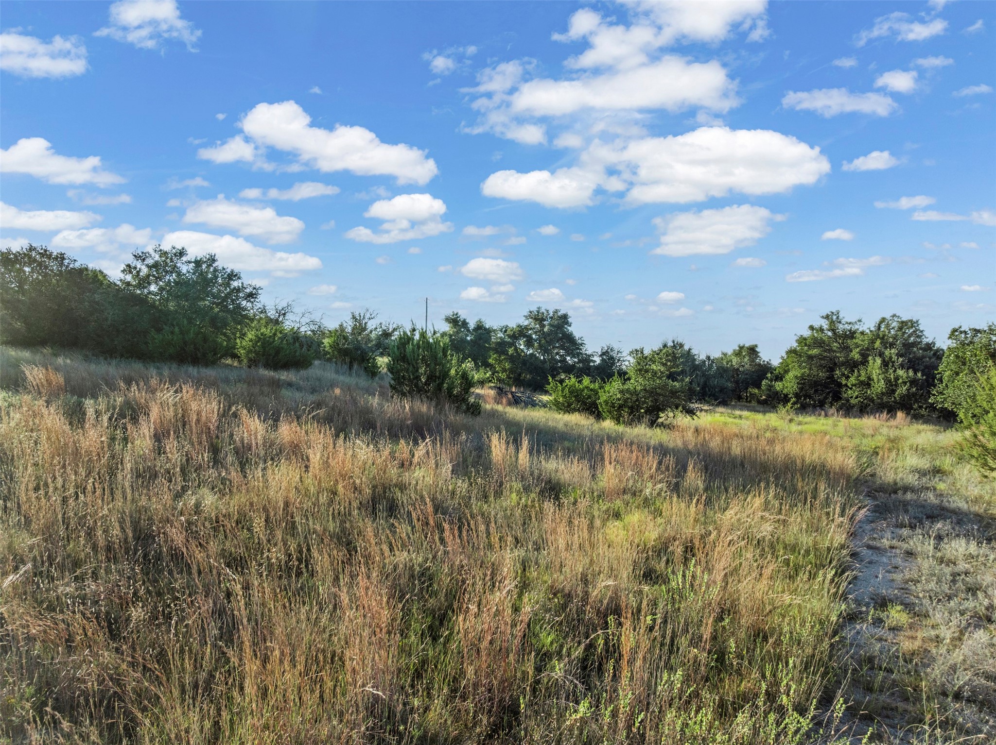 1456 Hidden Oaks Trail Glen Rose TX 76690