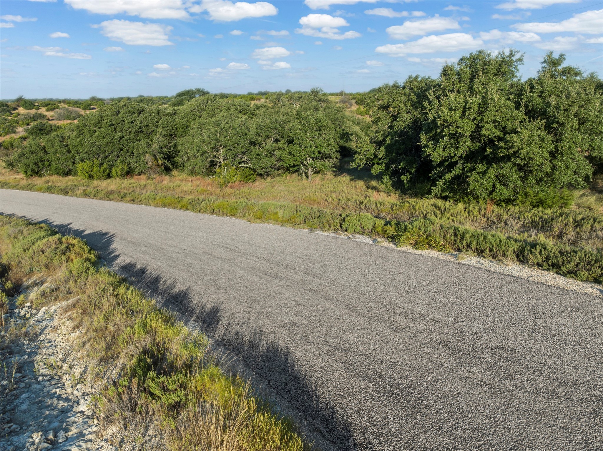 1456 Hidden Oaks Trail Glen Rose TX 76690