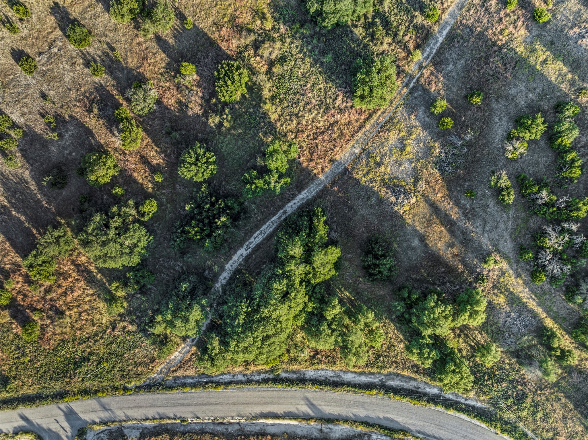 1456 Hidden Oaks Trail Glen Rose TX 76690