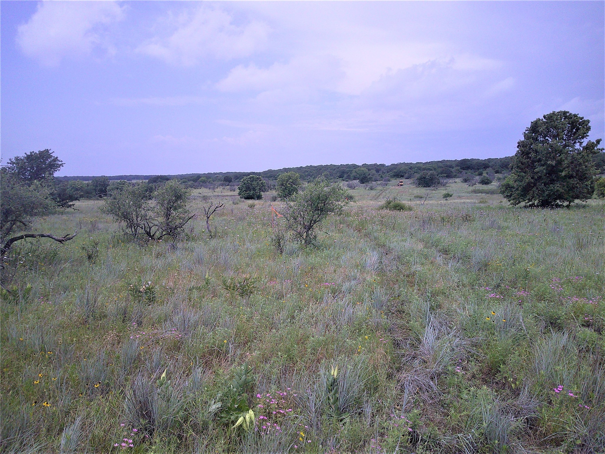 Trail 3 4 Wire Bowie TX 76230