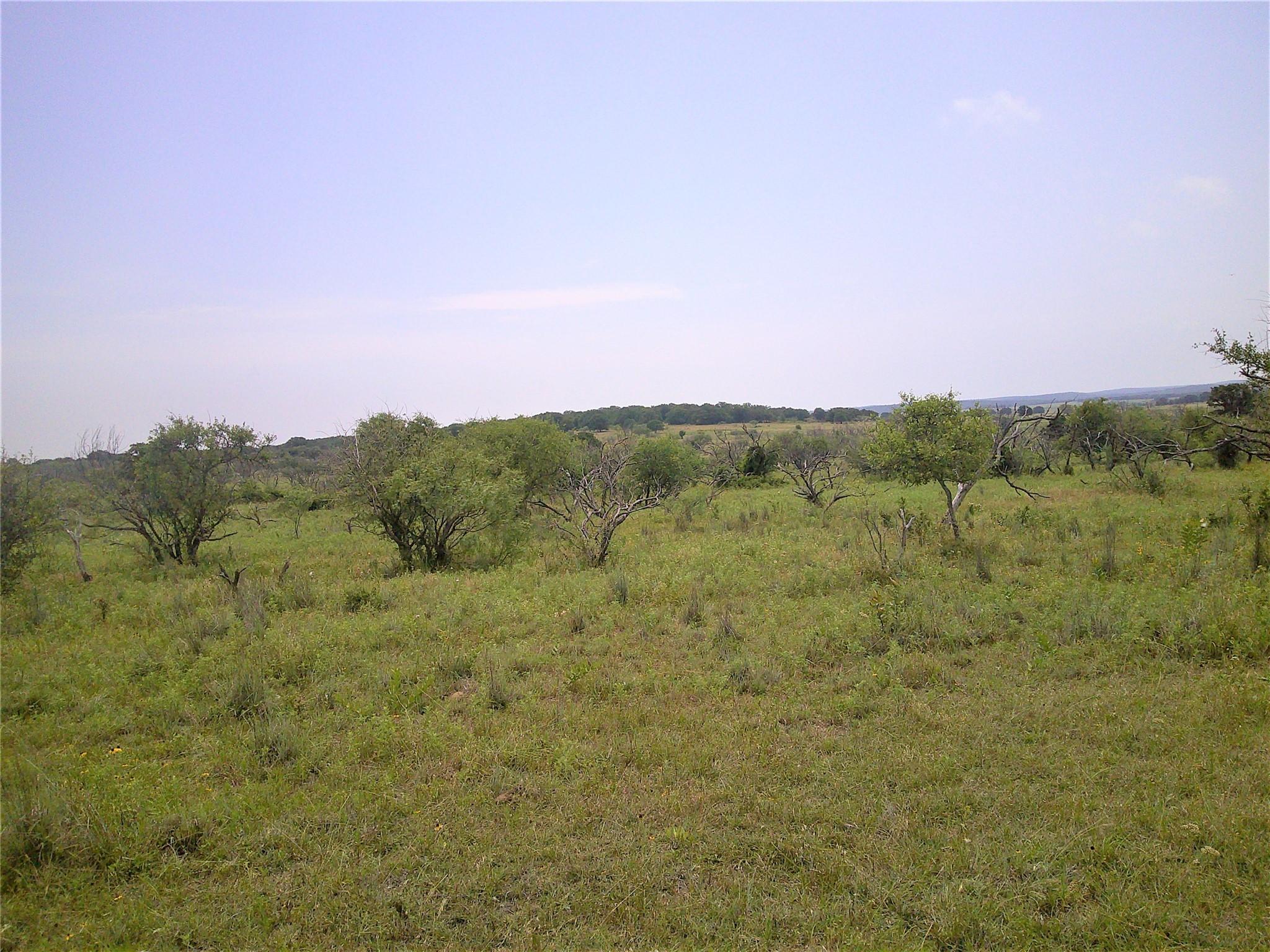 Trail 3 4 Wire Bowie TX 76230