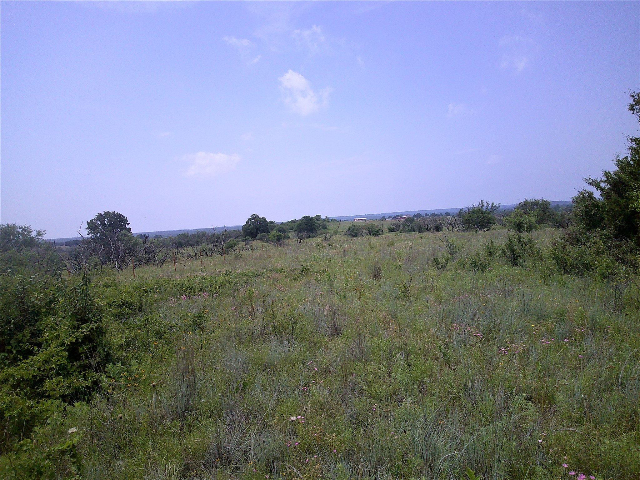 Trail 3 4 Wire Bowie TX 76230