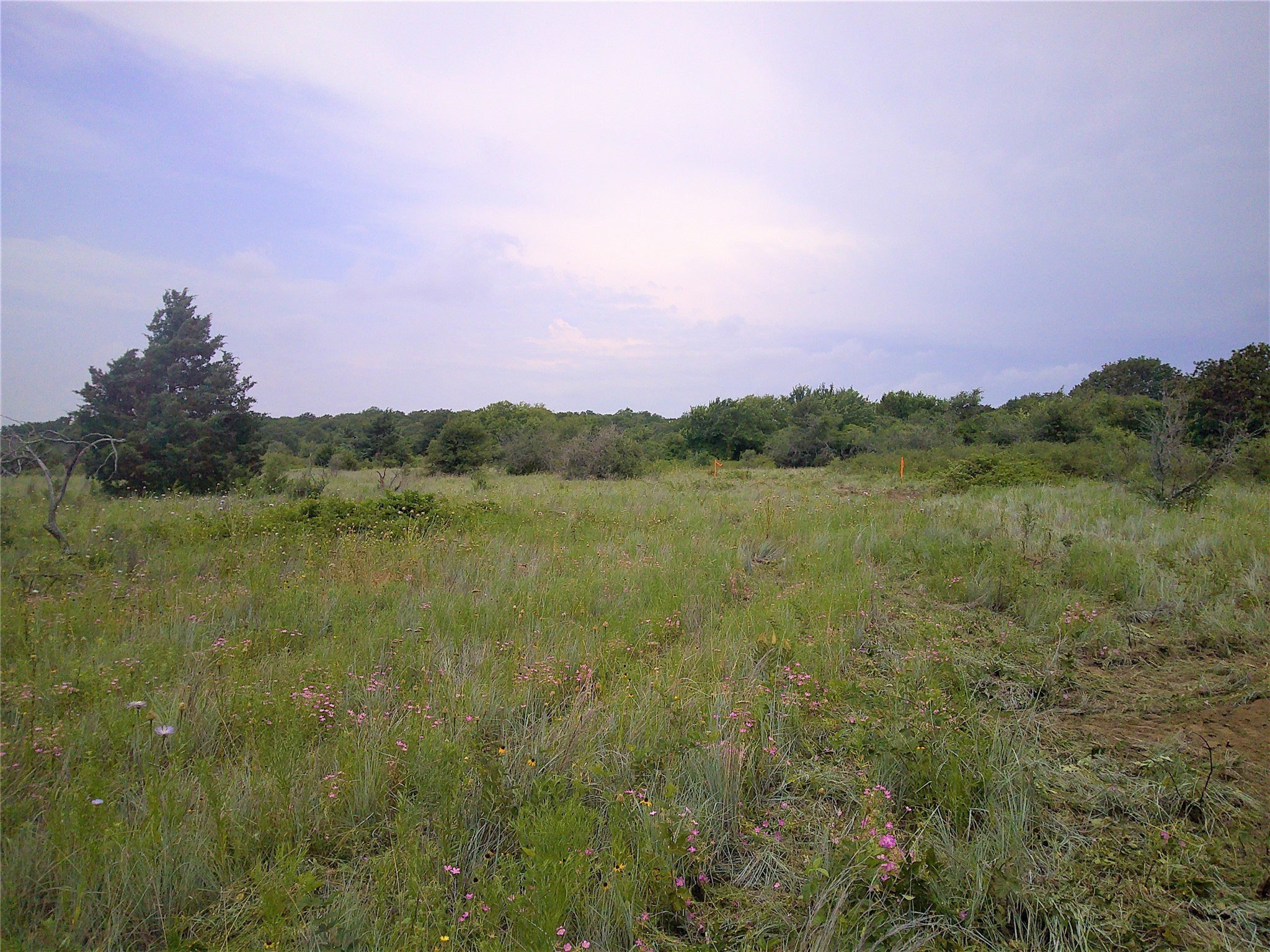 Trail 3 4 Wire Bowie TX 76230