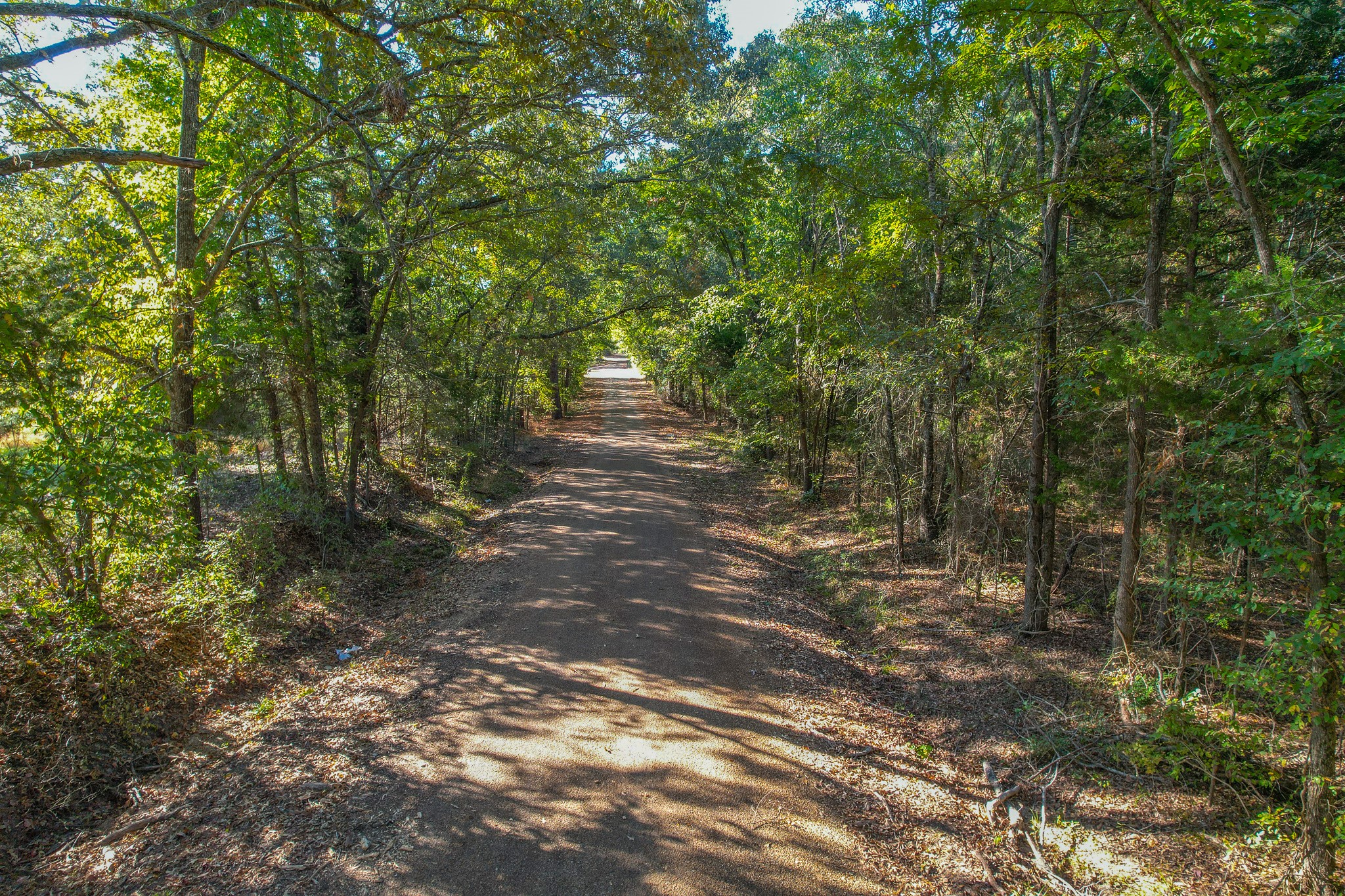 7821 Cr 3409 Chandler TX 75758
