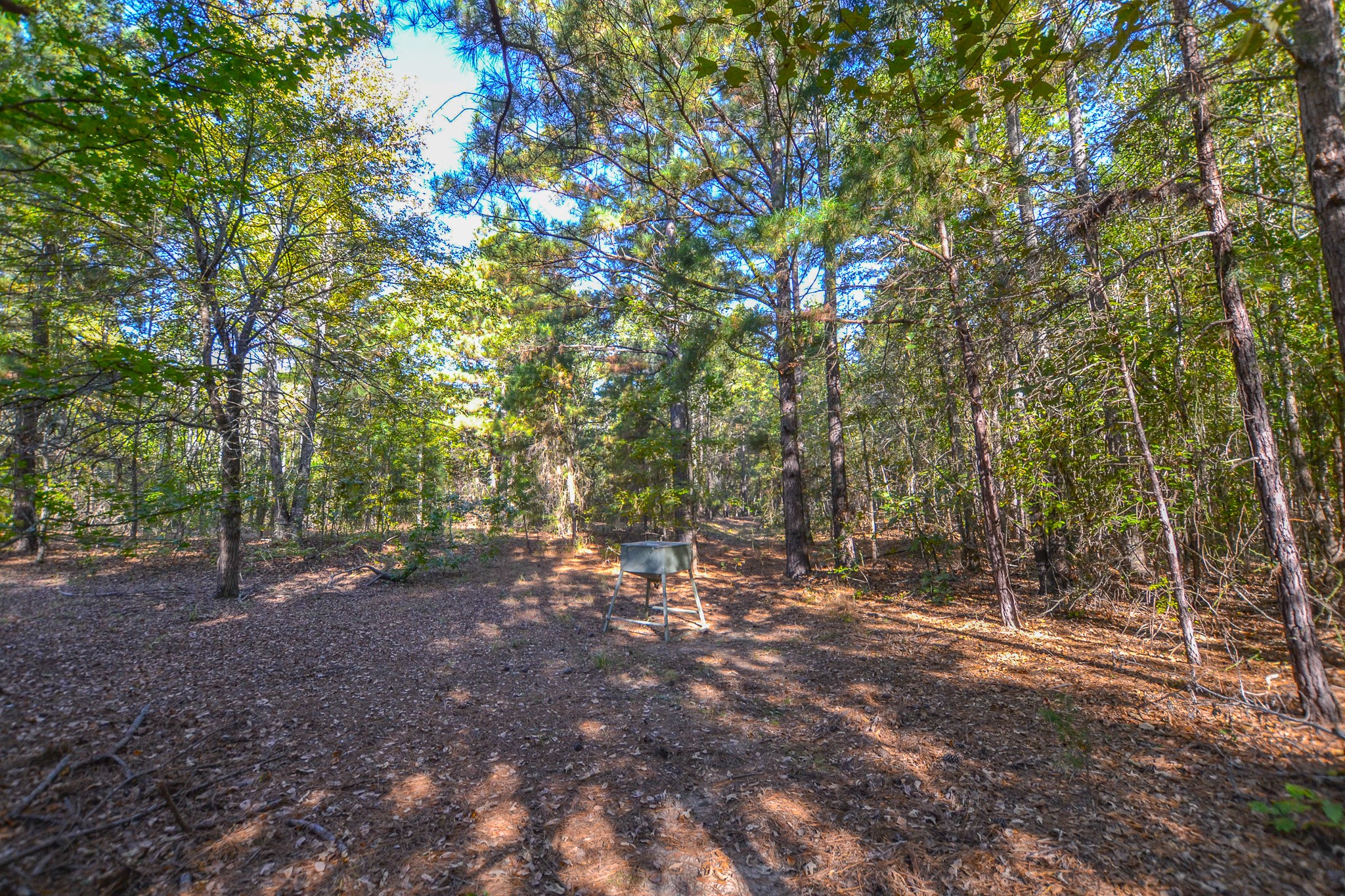 7821 Cr 3409 Chandler TX 75758