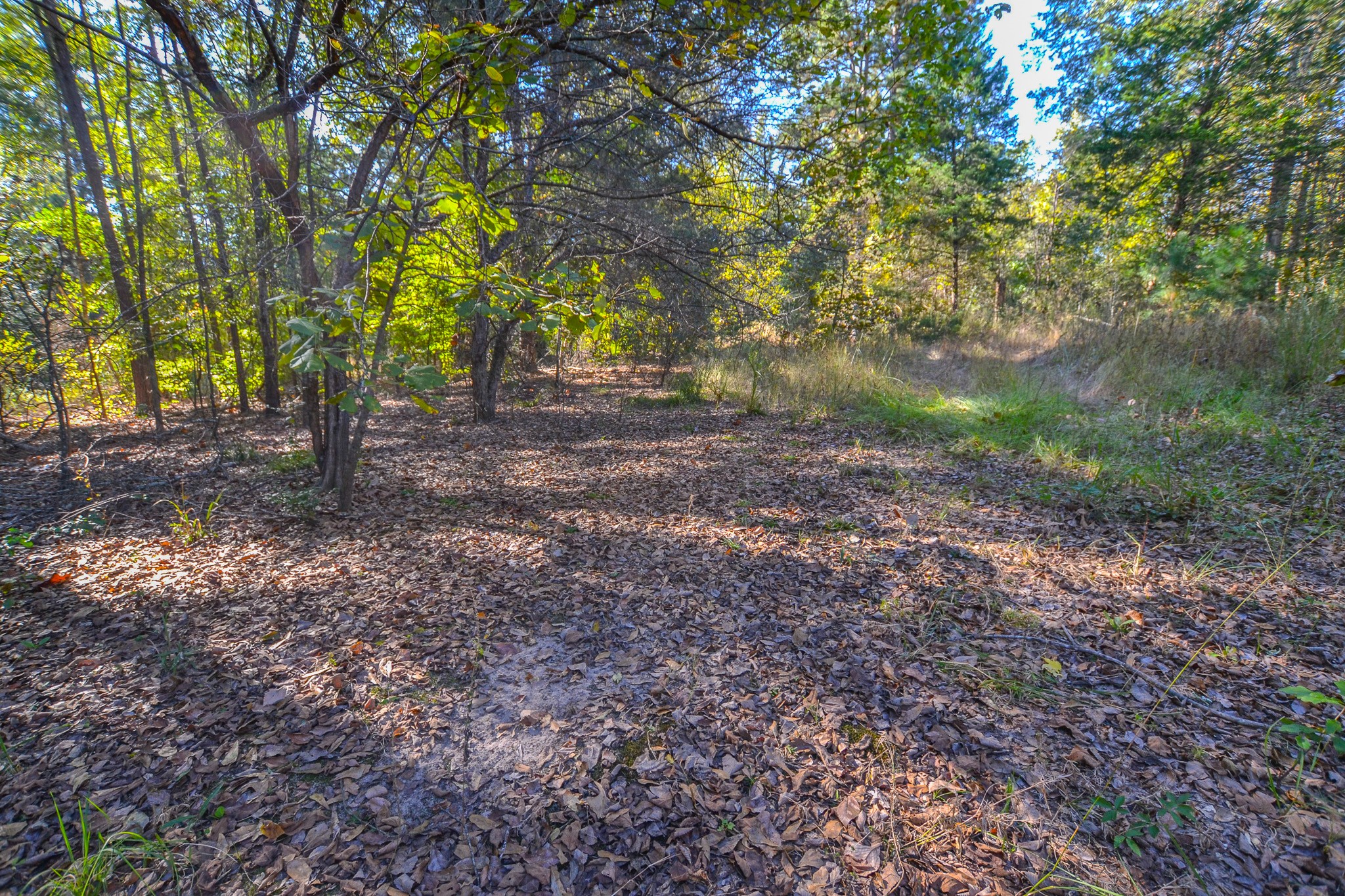7821 Cr 3409 Chandler TX 75758