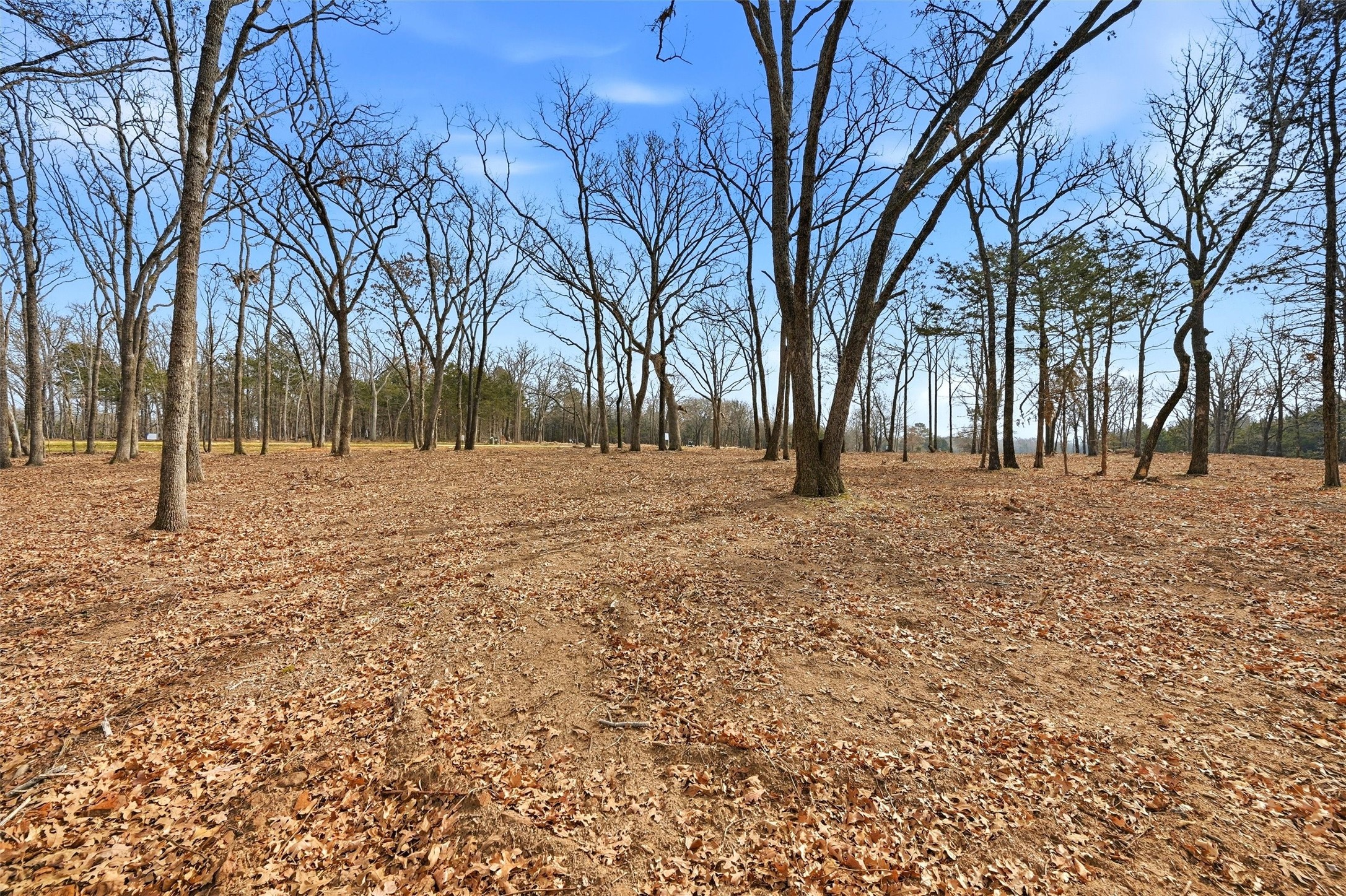 Lot 29 White Tail Way Pottsboro TX 75076