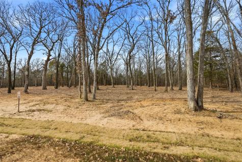Lot 29 White Tail Way Pottsboro TX 75076
