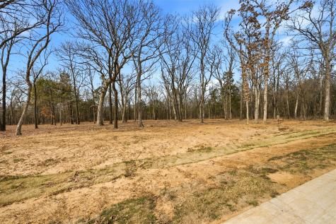 Lot 29 White Tail Way Pottsboro TX 75076