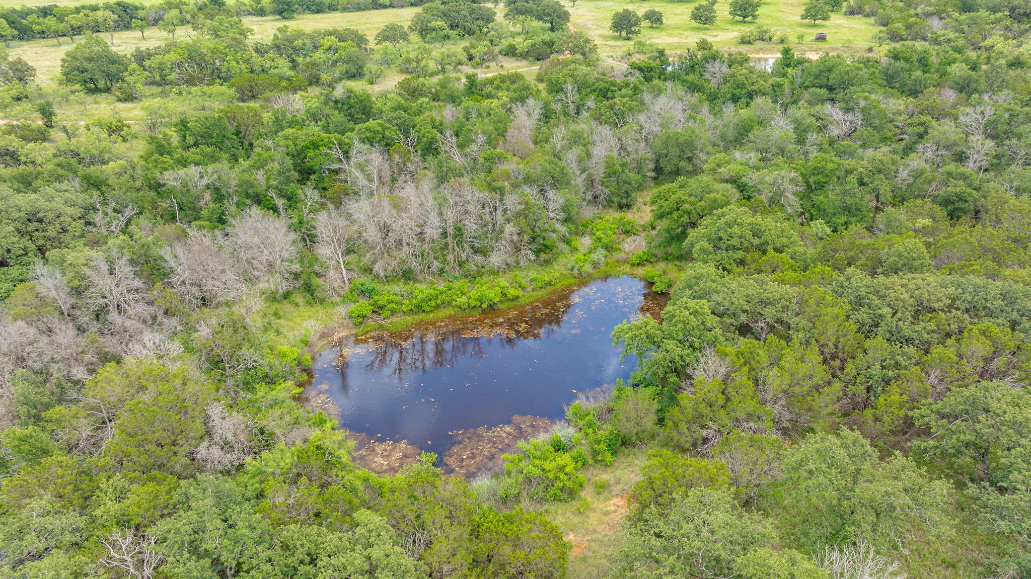 Tbd County Road 109 Mingus TX 76463