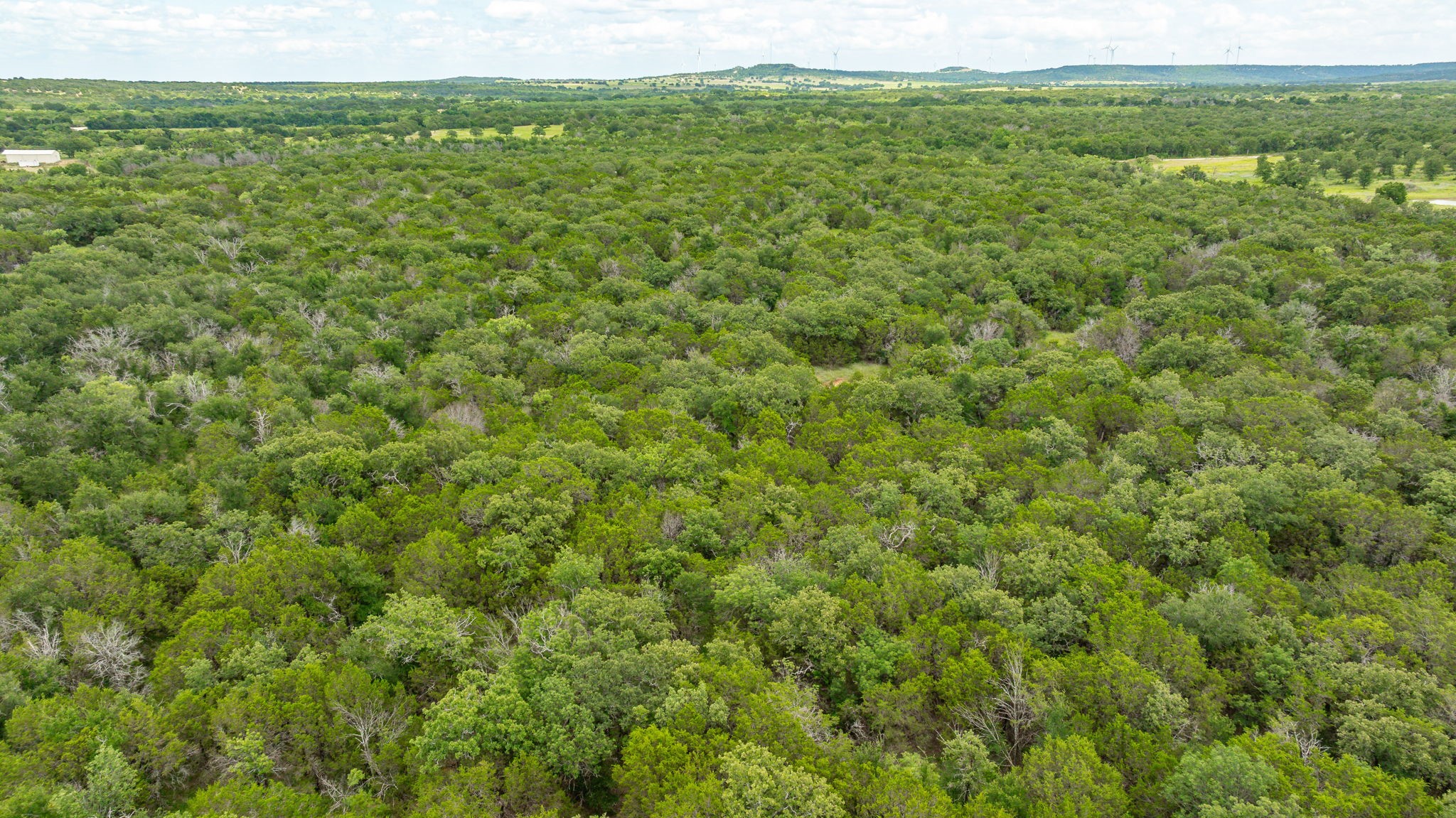 Tbd County Road 109 Mingus TX 76463