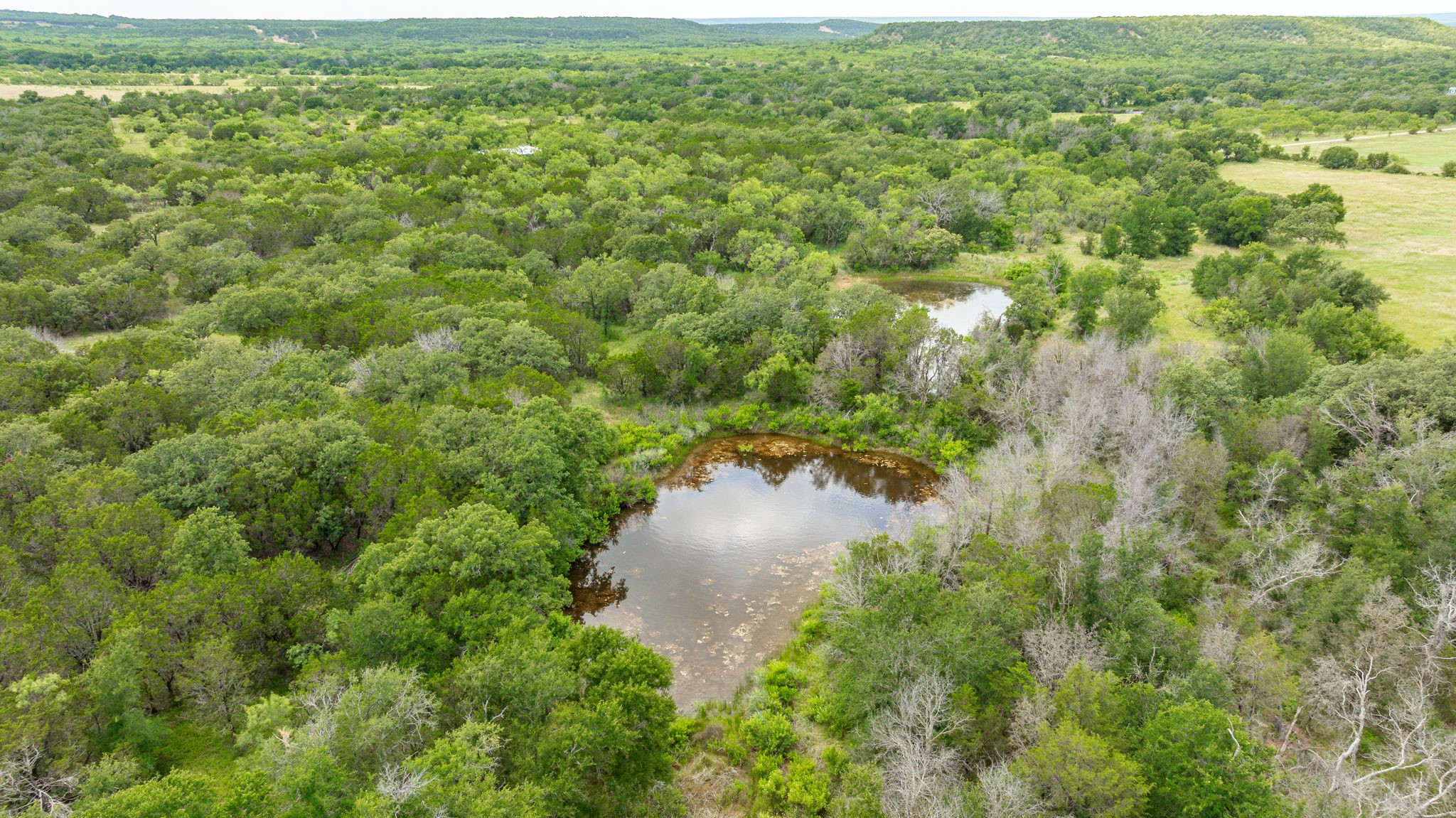 Tbd County Road 109 Mingus TX 76463