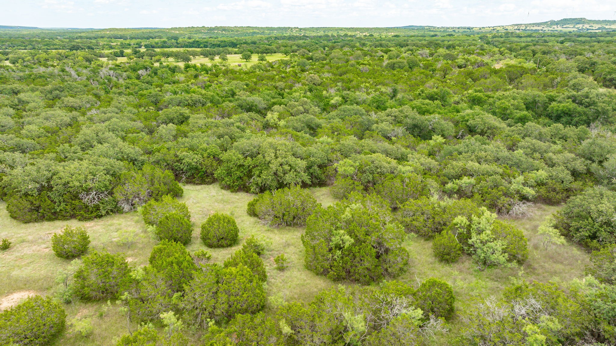 Tbd County Road 109 Mingus TX 76463