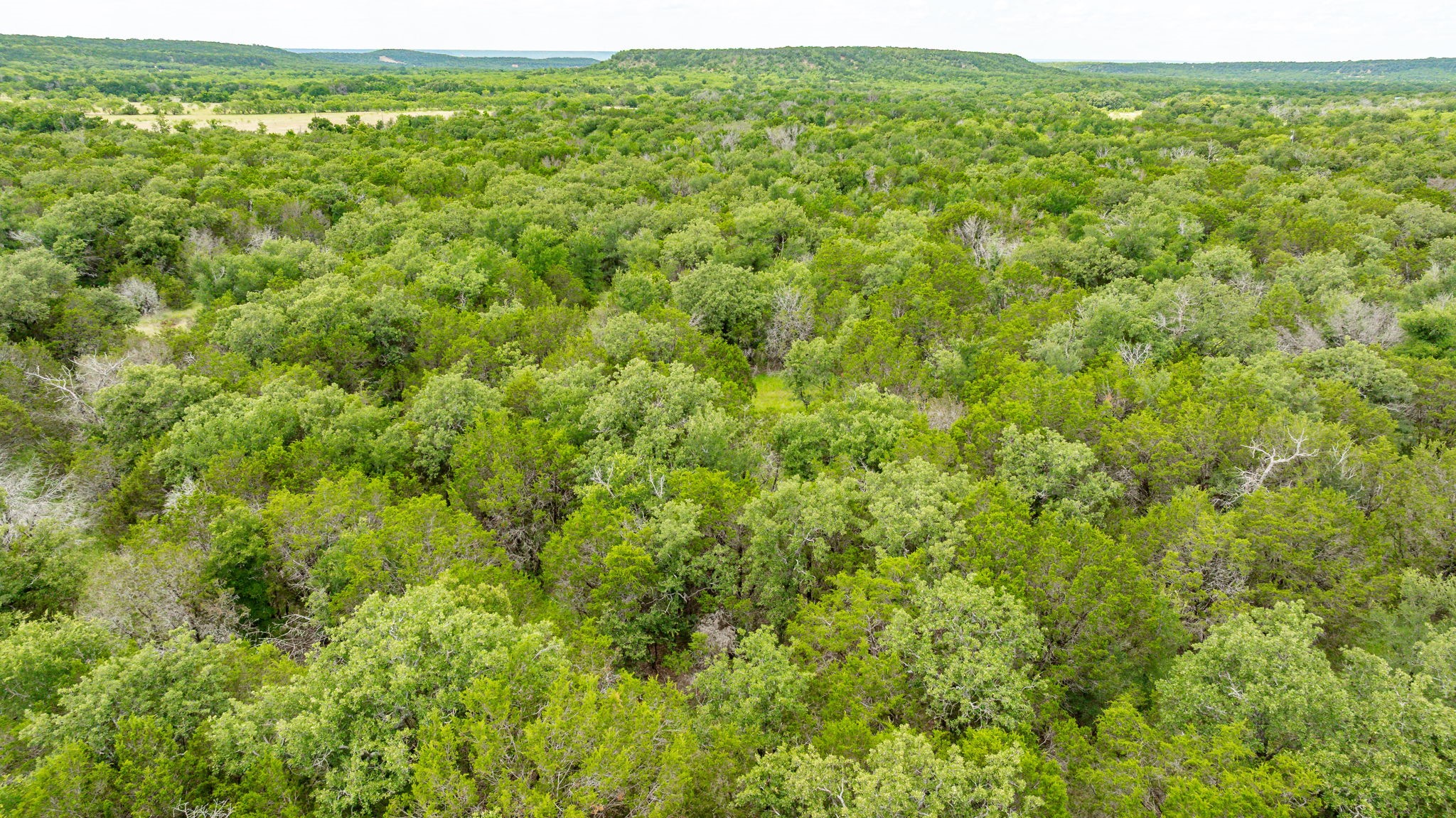 Tbd County Road 109 Mingus TX 76463
