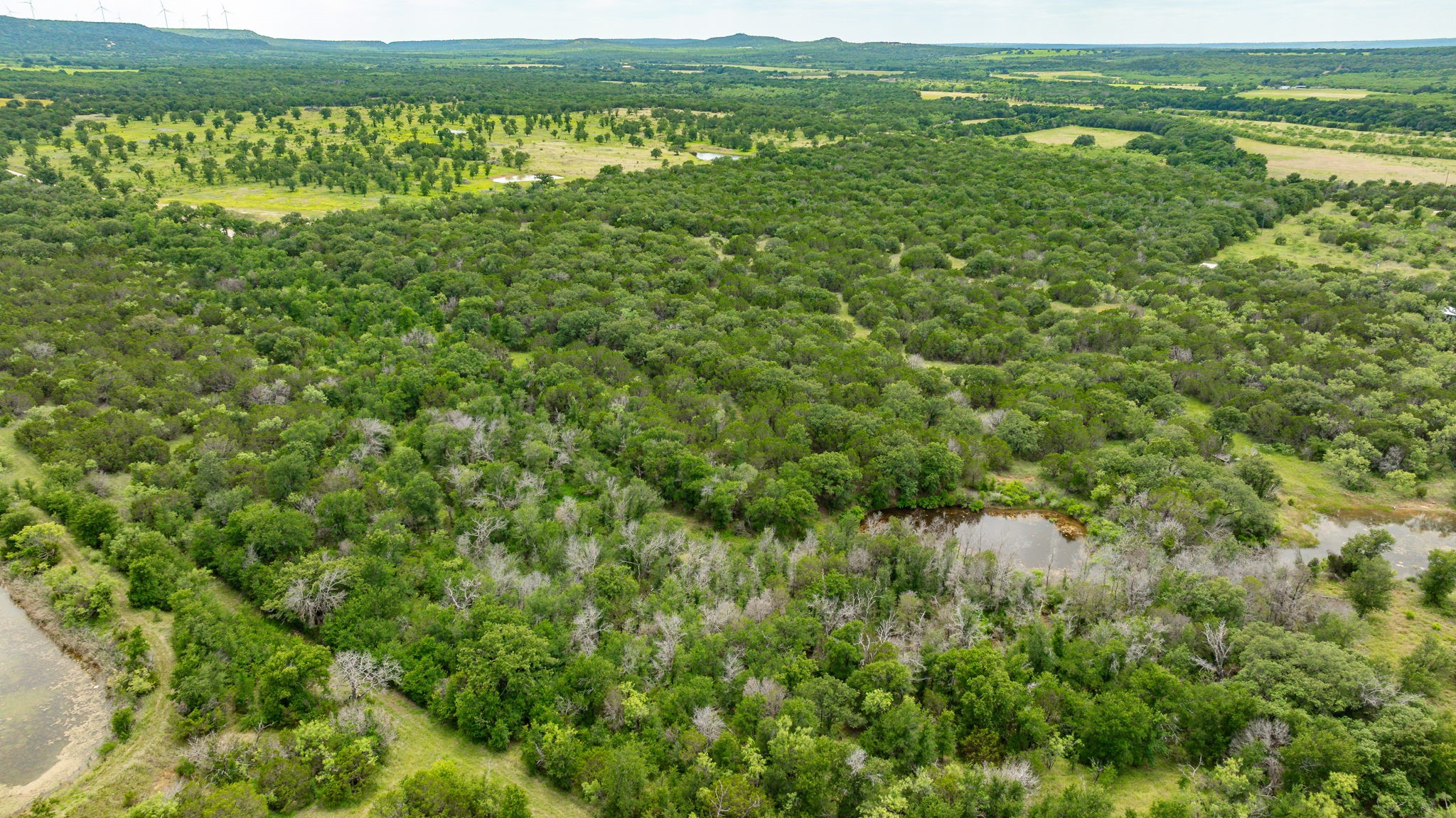Tbd County Road 109 Mingus TX 76463