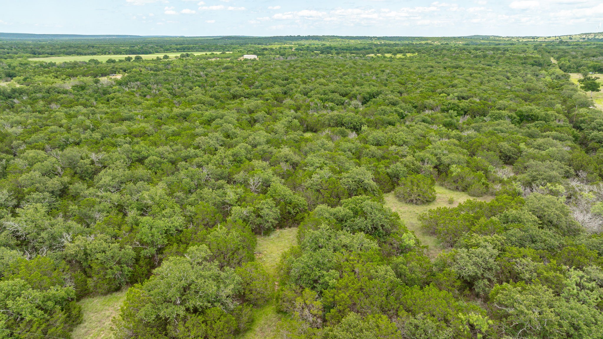 Tbd County Road 109 Mingus TX 76463