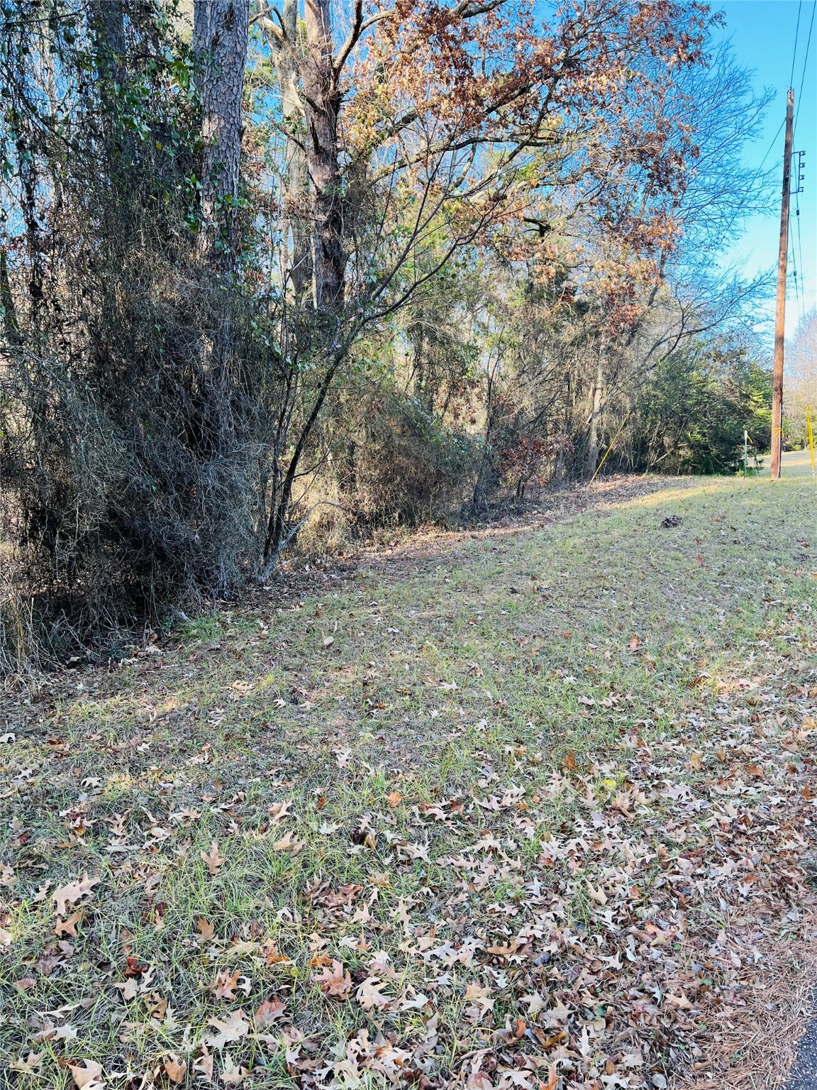 Lot 31 Winding Lane Mount Vernon TX 75457