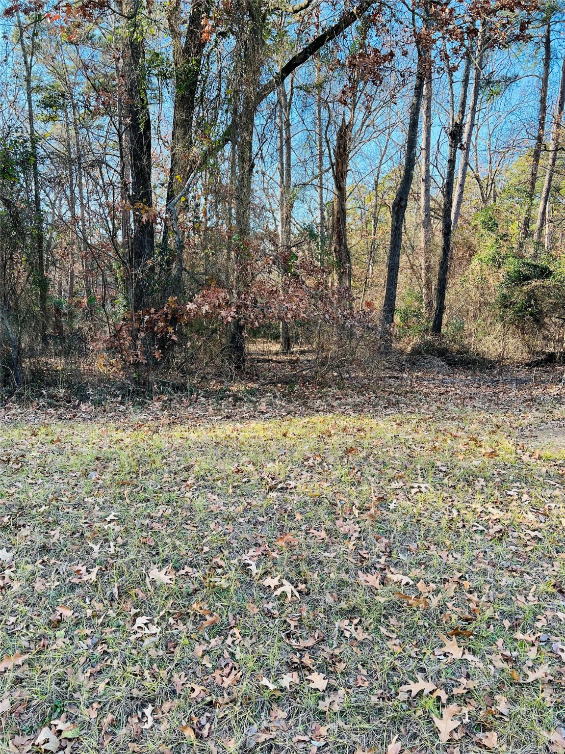 Lot 31 Winding Lane Mount Vernon TX 75457